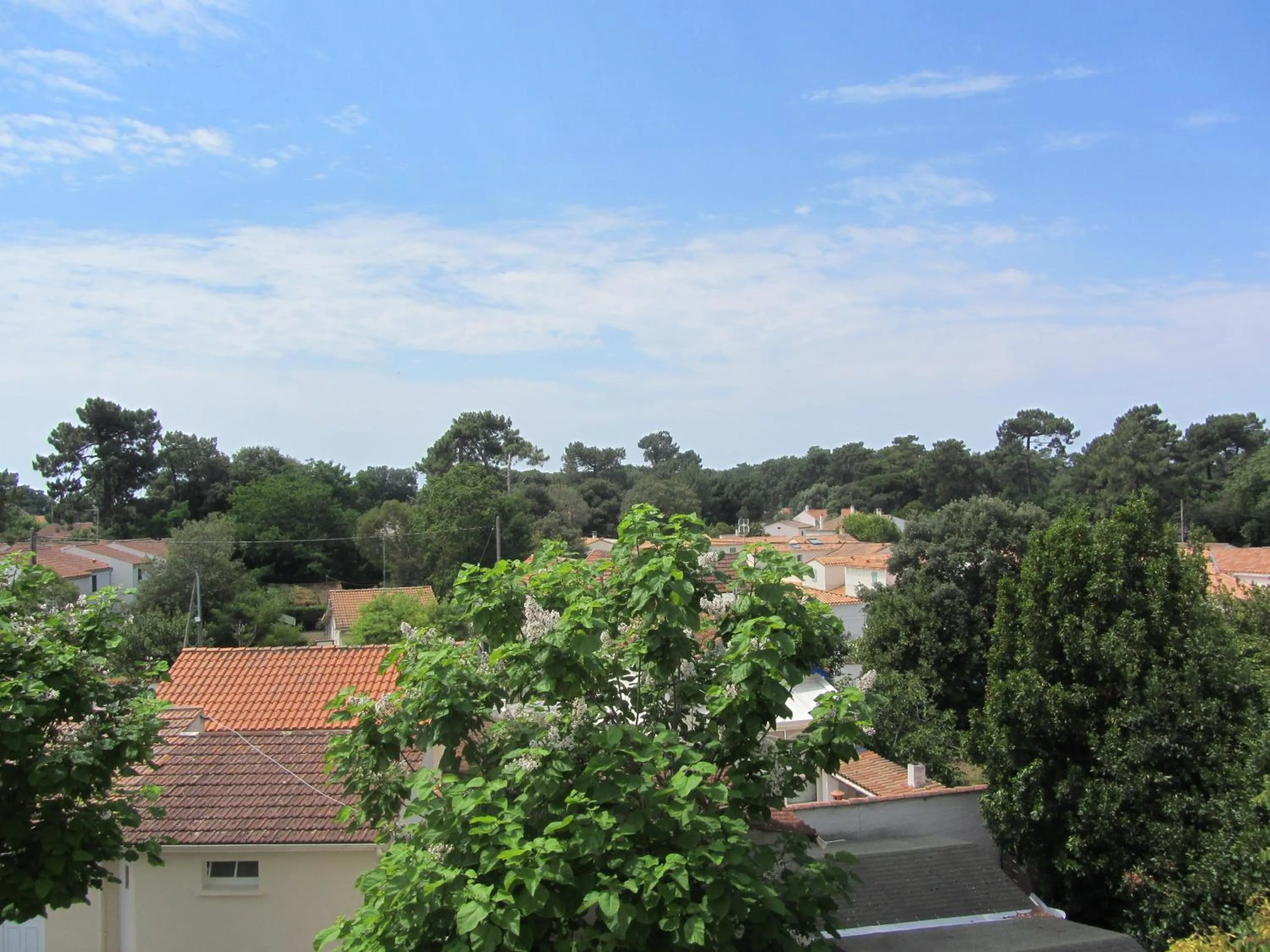 City view in Le Homard Bleu