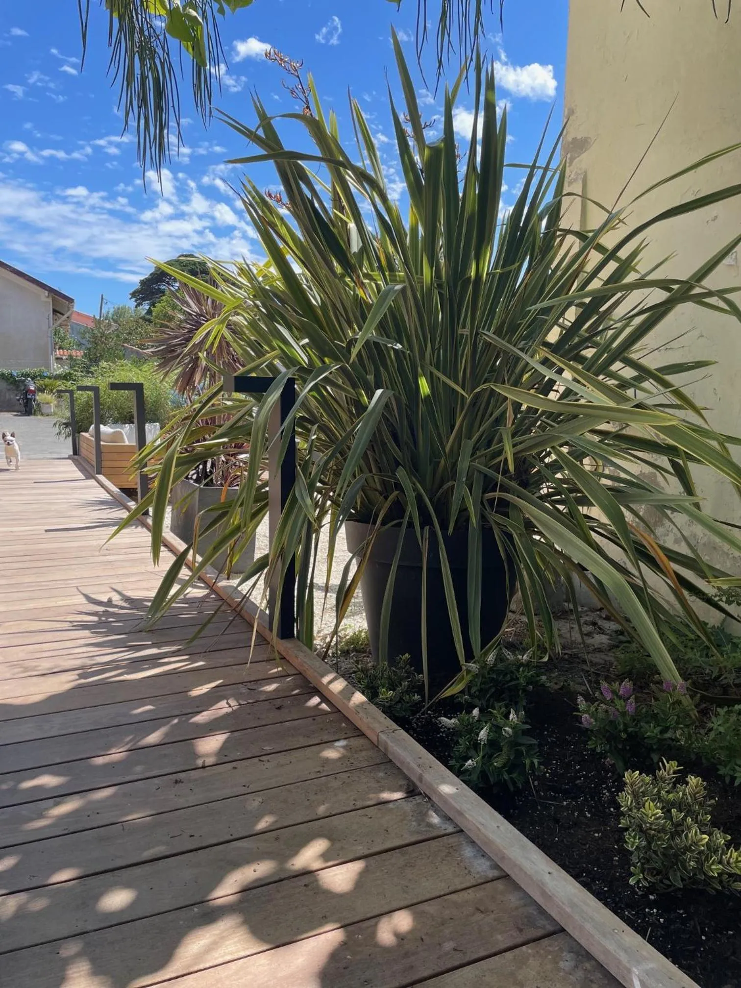 Street view in Le Homard Bleu