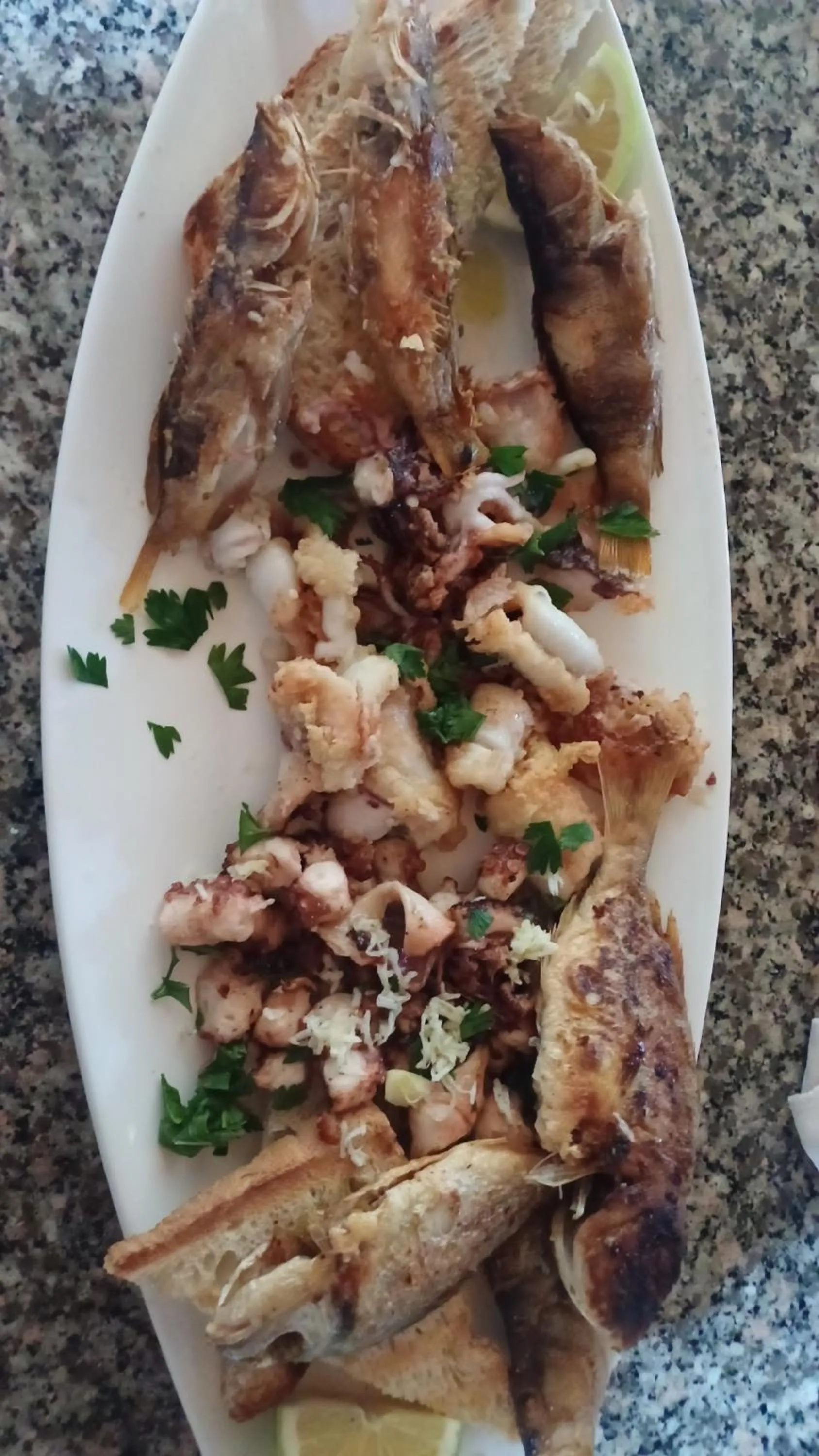 Maxola's Dream Orikum