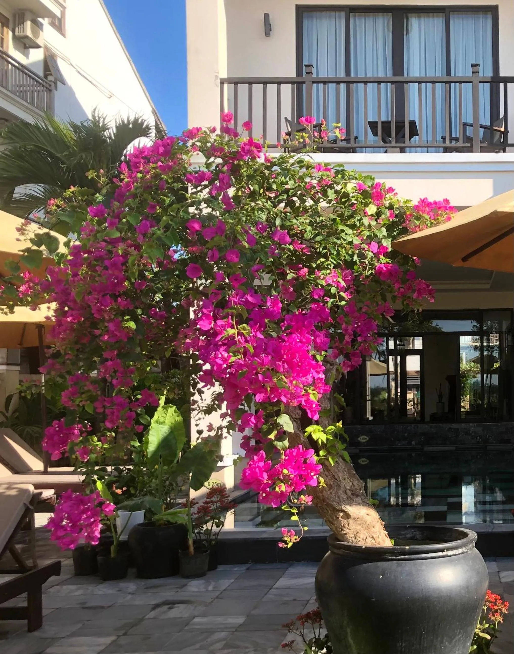 Garden in The Quin Riverside Villa