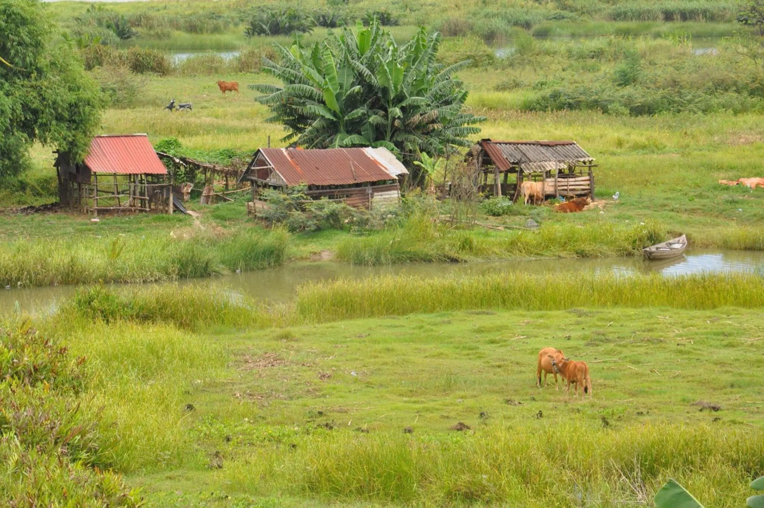 Natural landscape in The Quin Riverside Villa