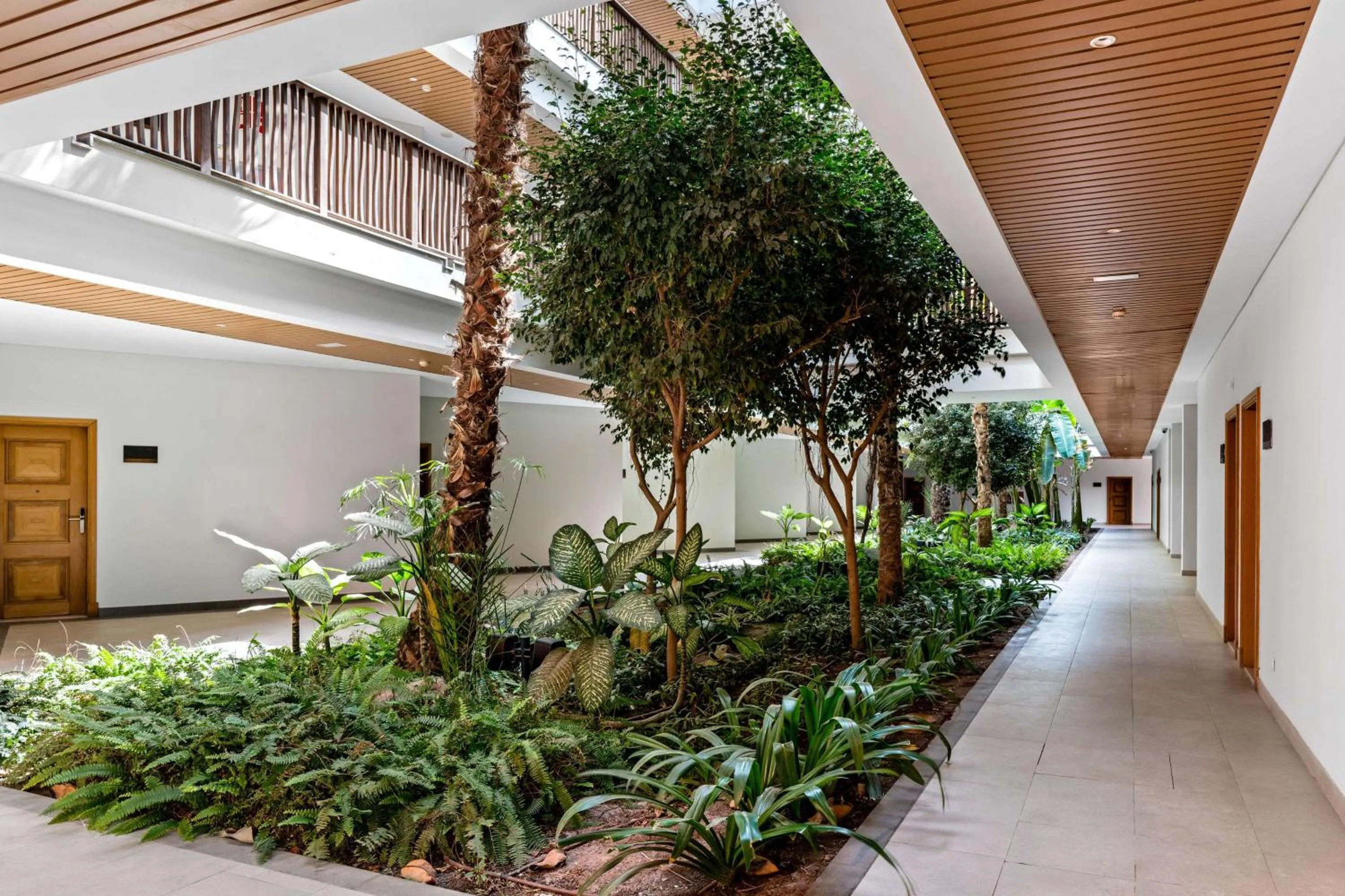 Lobby or reception in Hilton Cabo Verde Sal Resort