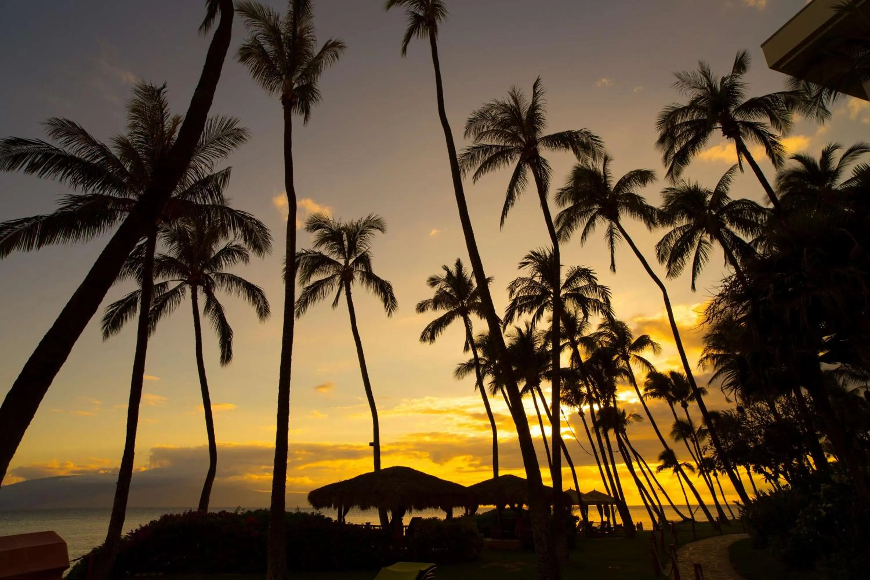 Beach in Hyatt Vacation Club at Ka'anapali Beach