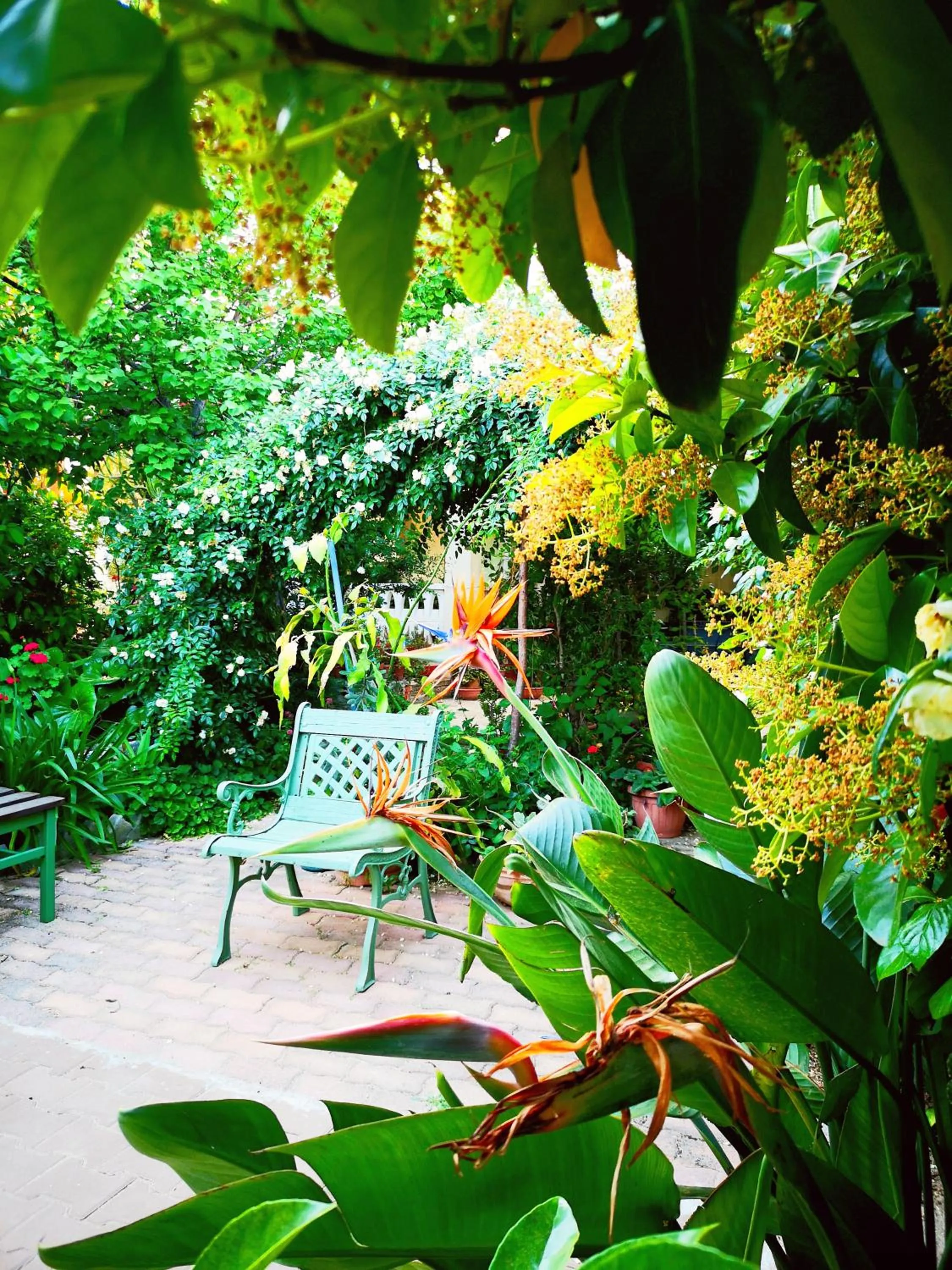 Garden in La casa nel villaggio