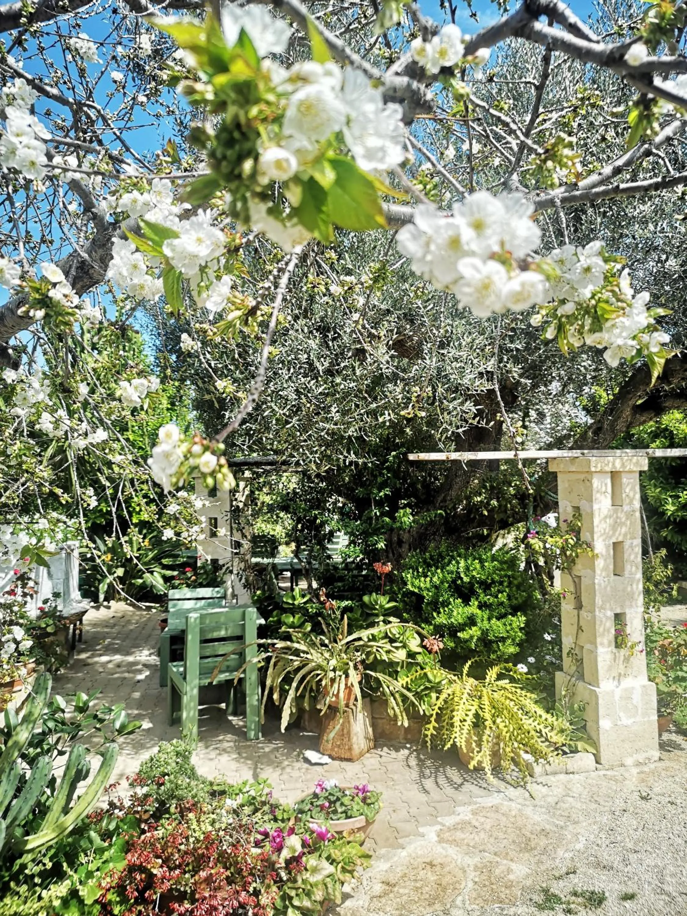 Garden in La casa nel villaggio