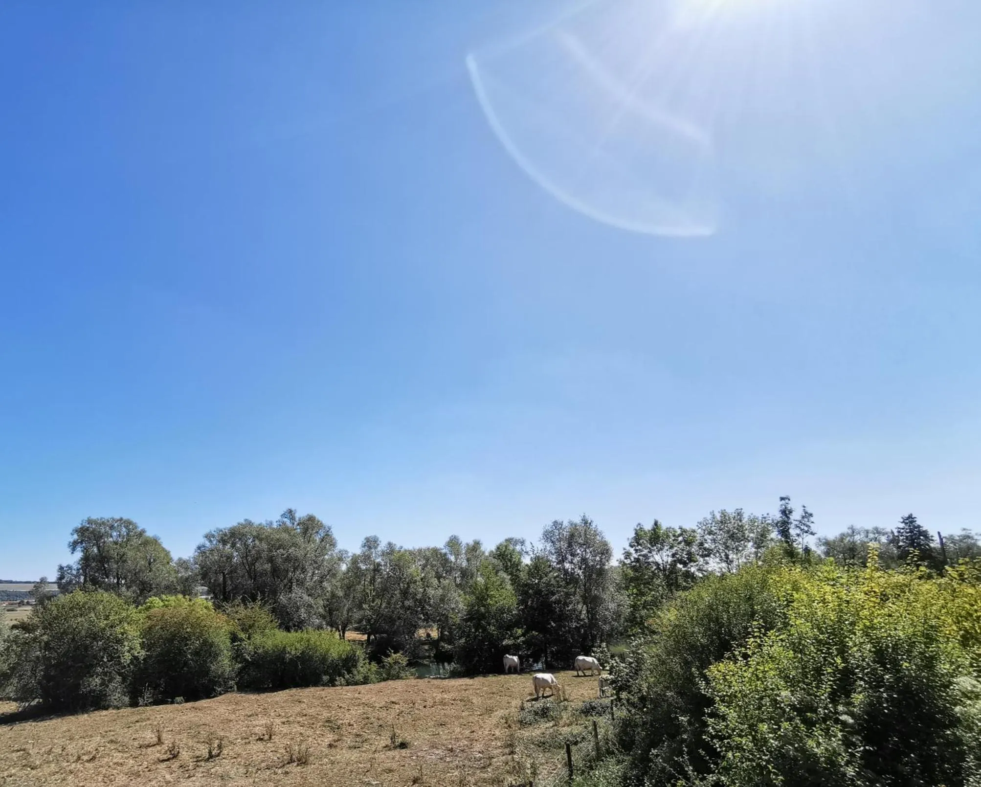 La Table Des Bons Peres