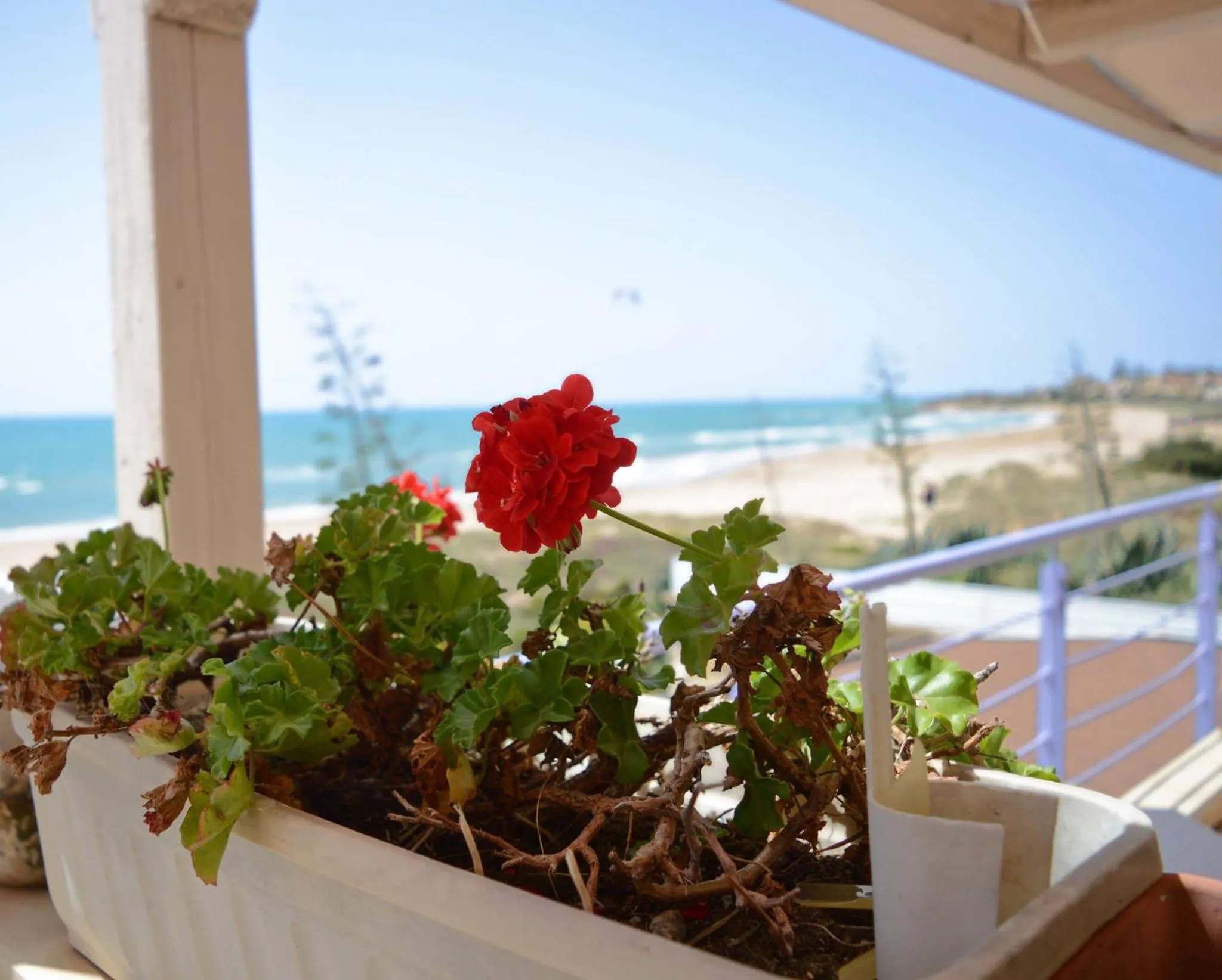 Decorative detail in Hotel Mar & Sol