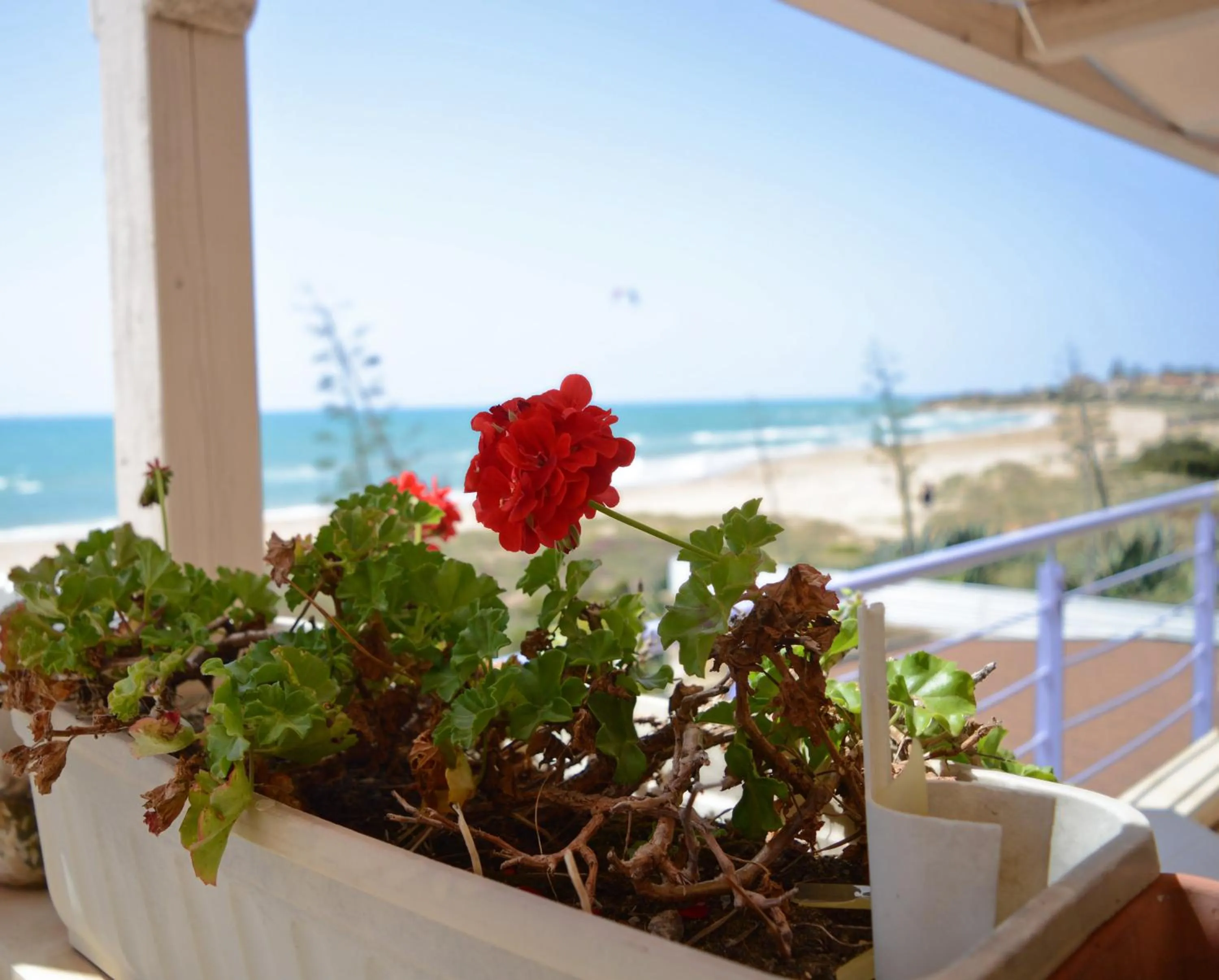 Decorative detail in Hotel Mar & Sol