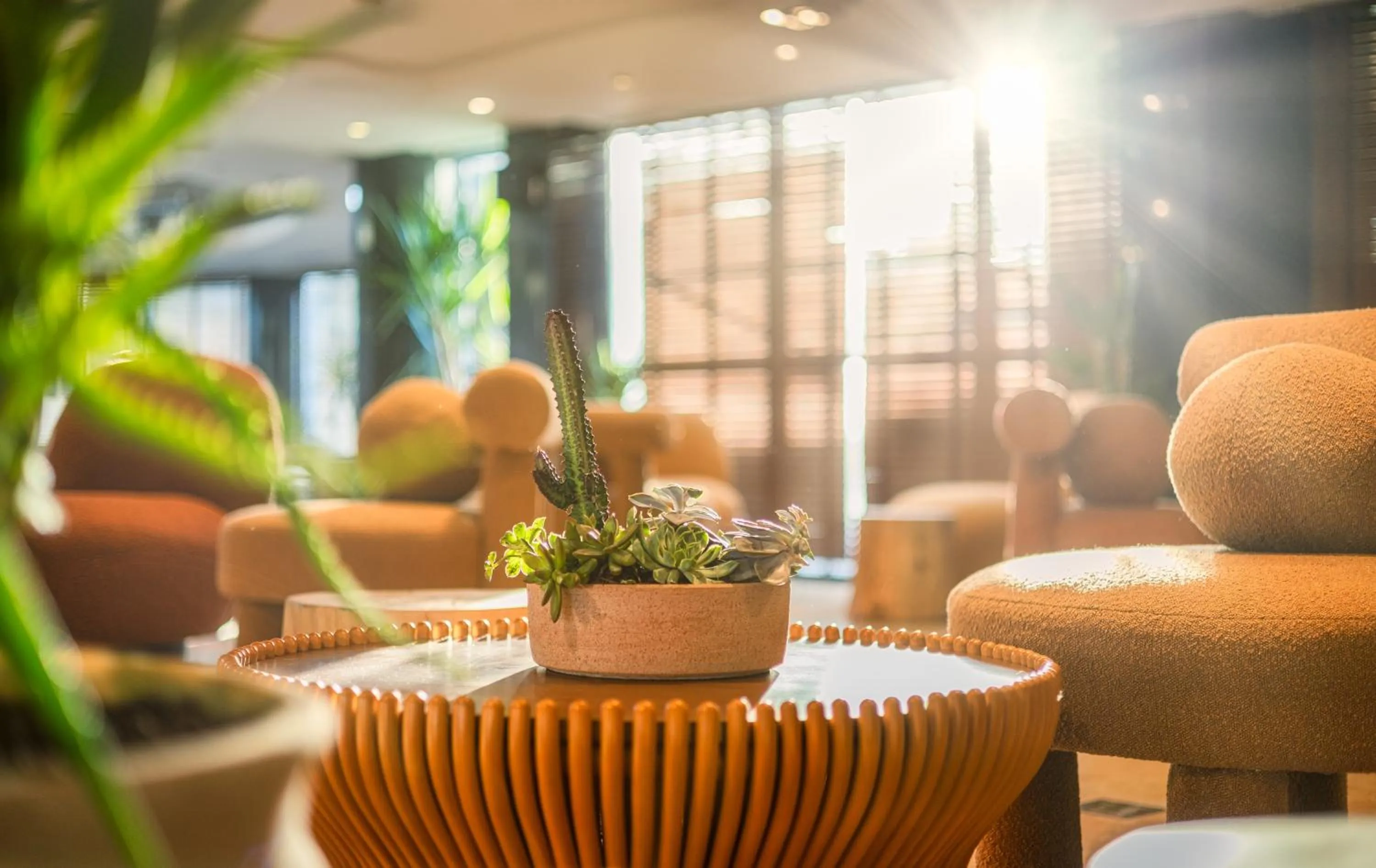 Seating area in Brown Red Sea