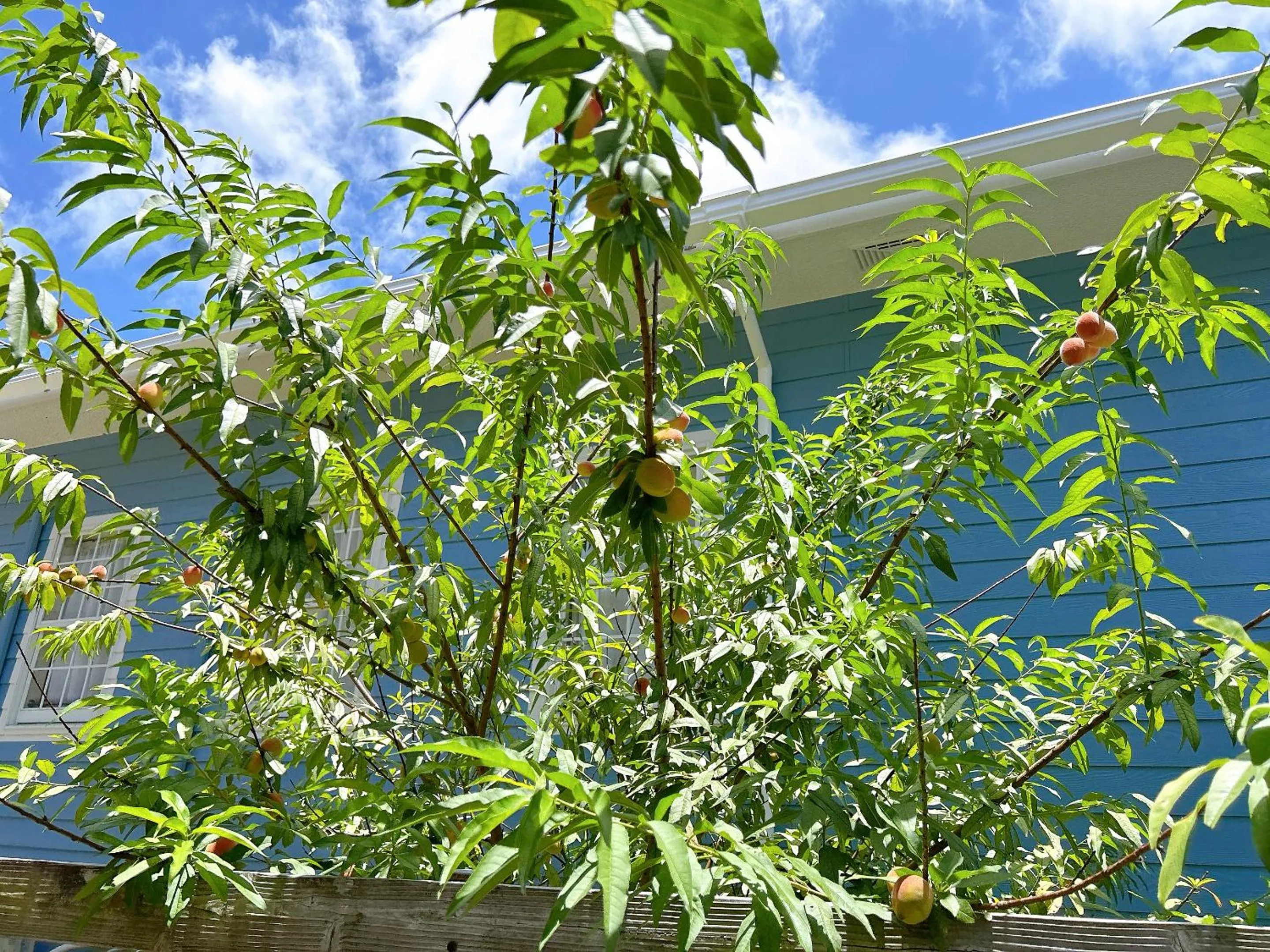 Property building in LuLu Manza