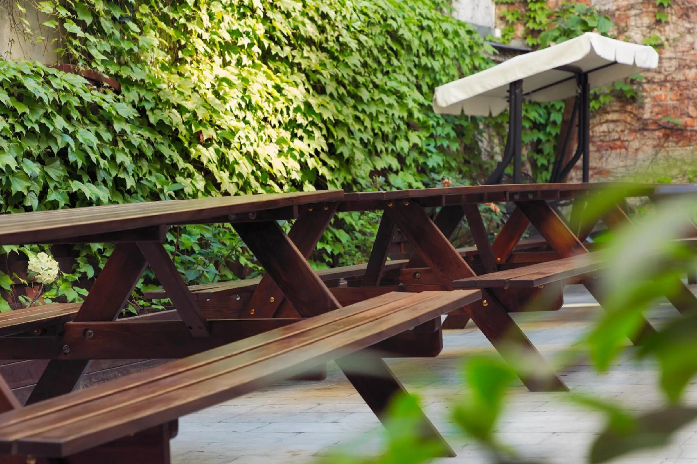 Patio in Patio Hostel