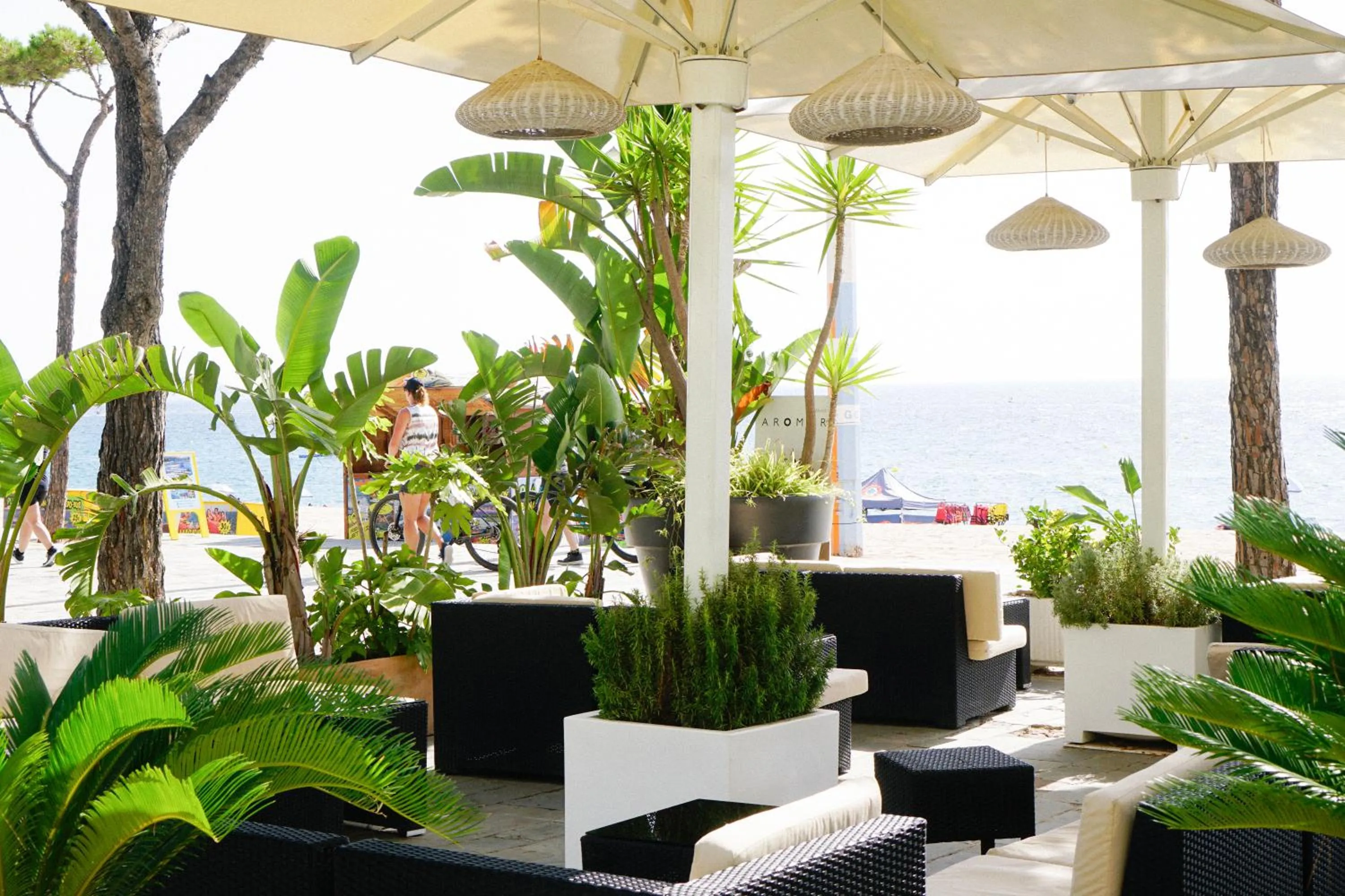 Restaurant/places to eat in Hotel Aromar