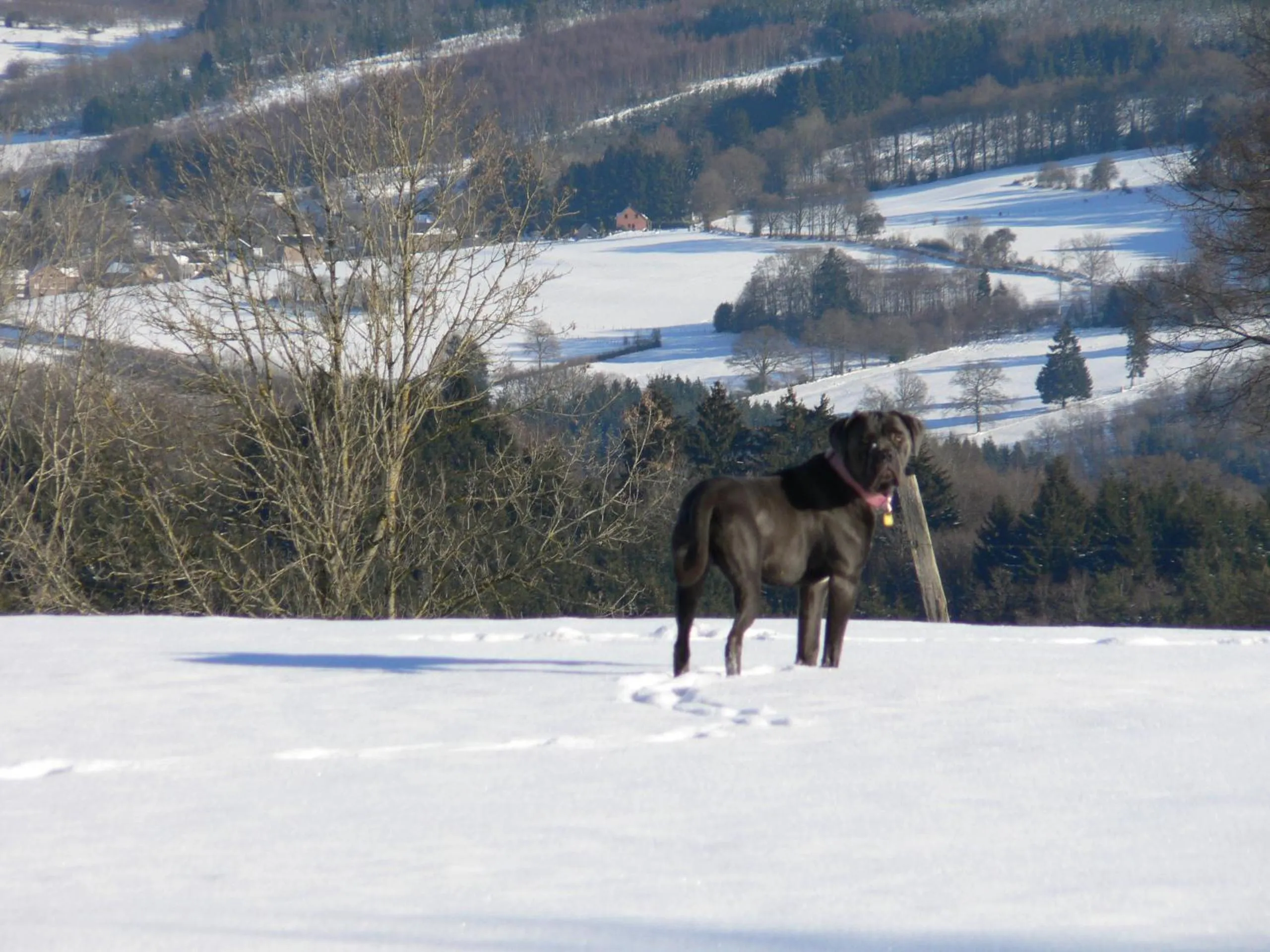 On site in B&B Chambre d'hôtes de la Vecquée