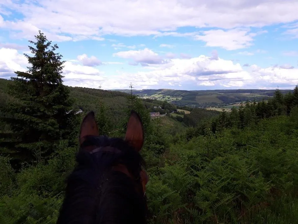 B&B Chambre d'hôtes de la Vecquée