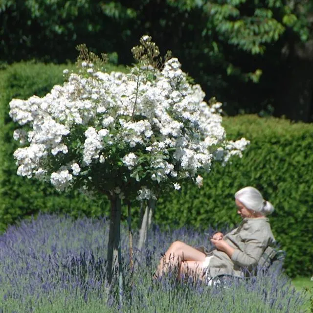 Garden in Bergerie de la Moutonnière