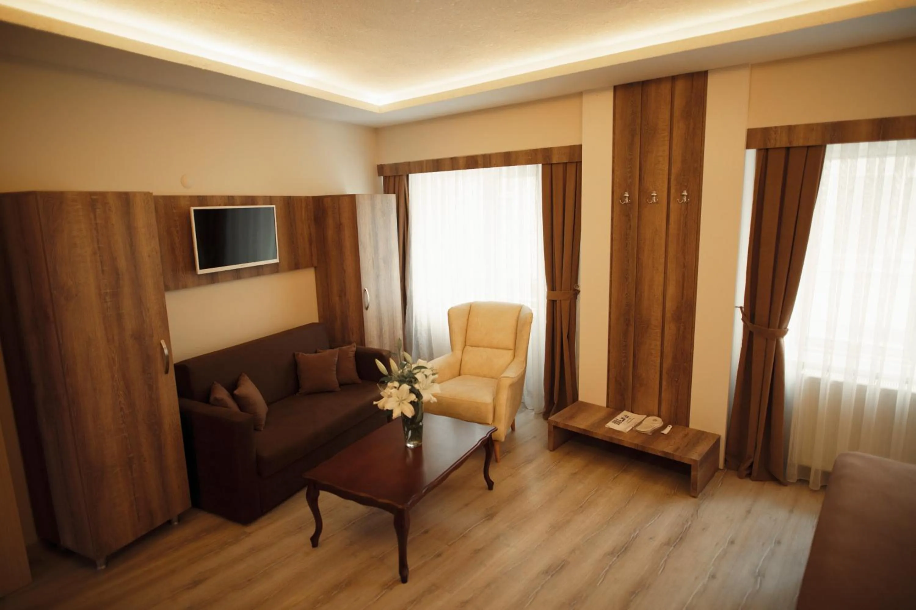 TV and multimedia in Line Suite Hotel