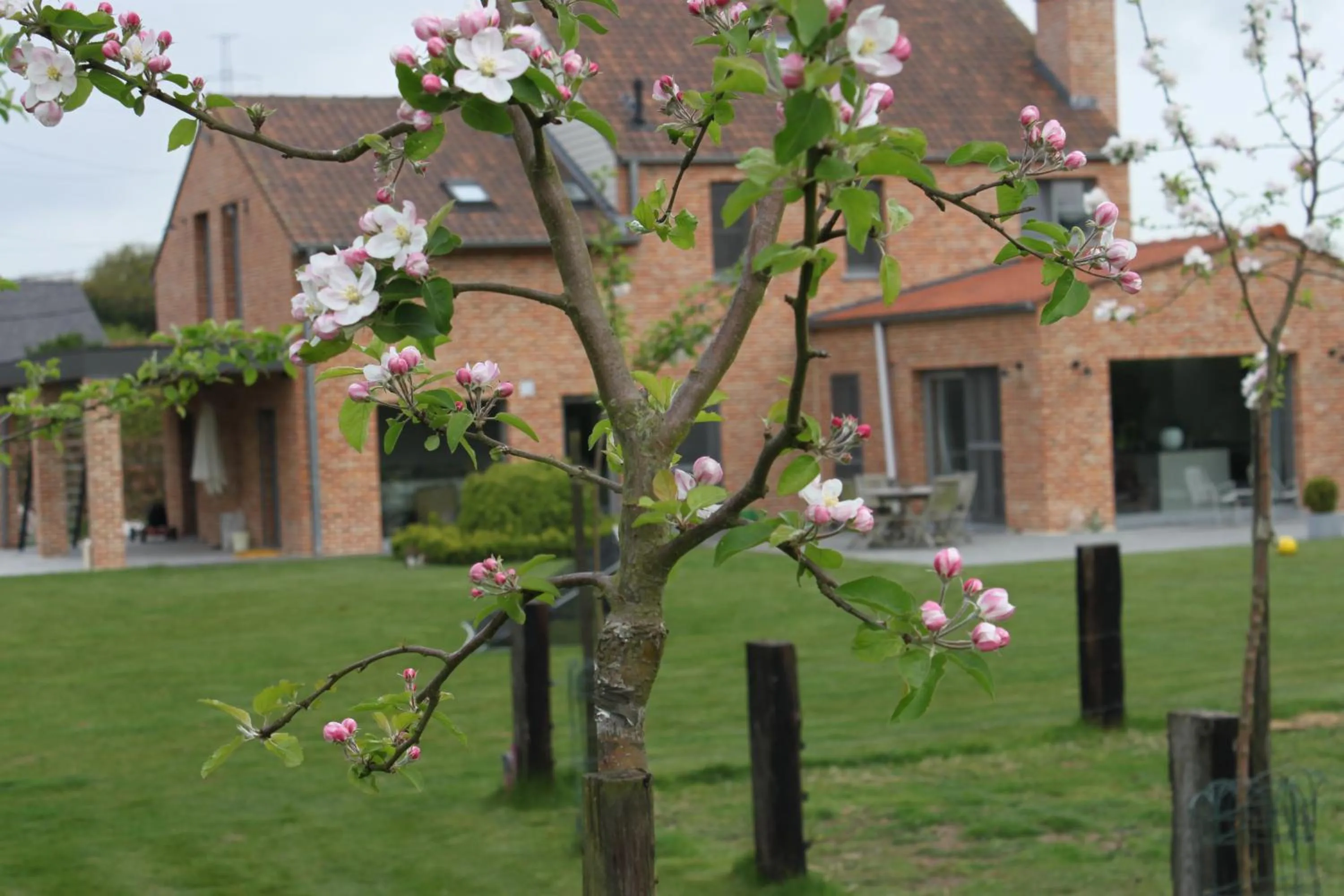 Property building in B&B 't Hoogste