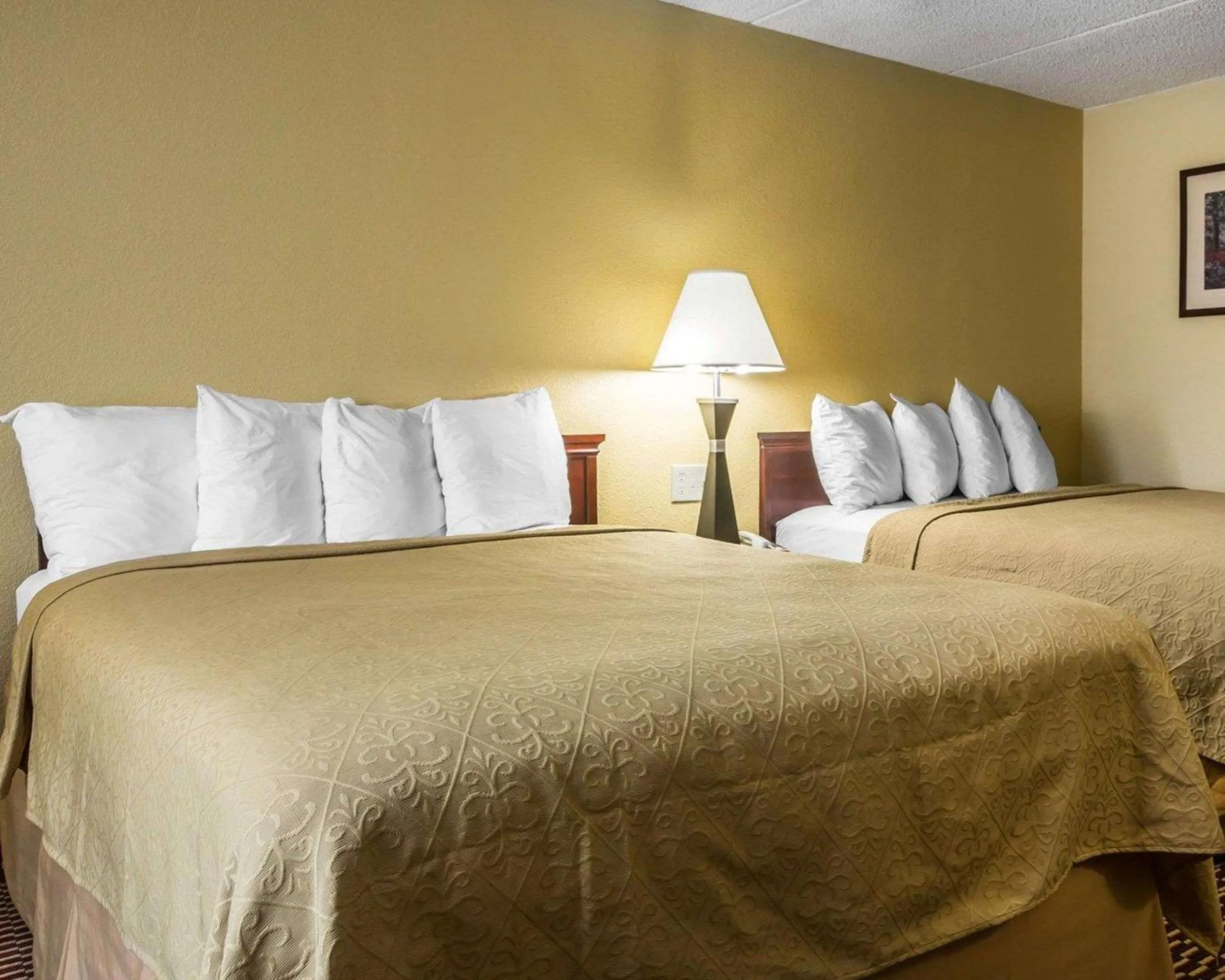 Photo of the whole room in Quality Inn and Suites Kingston