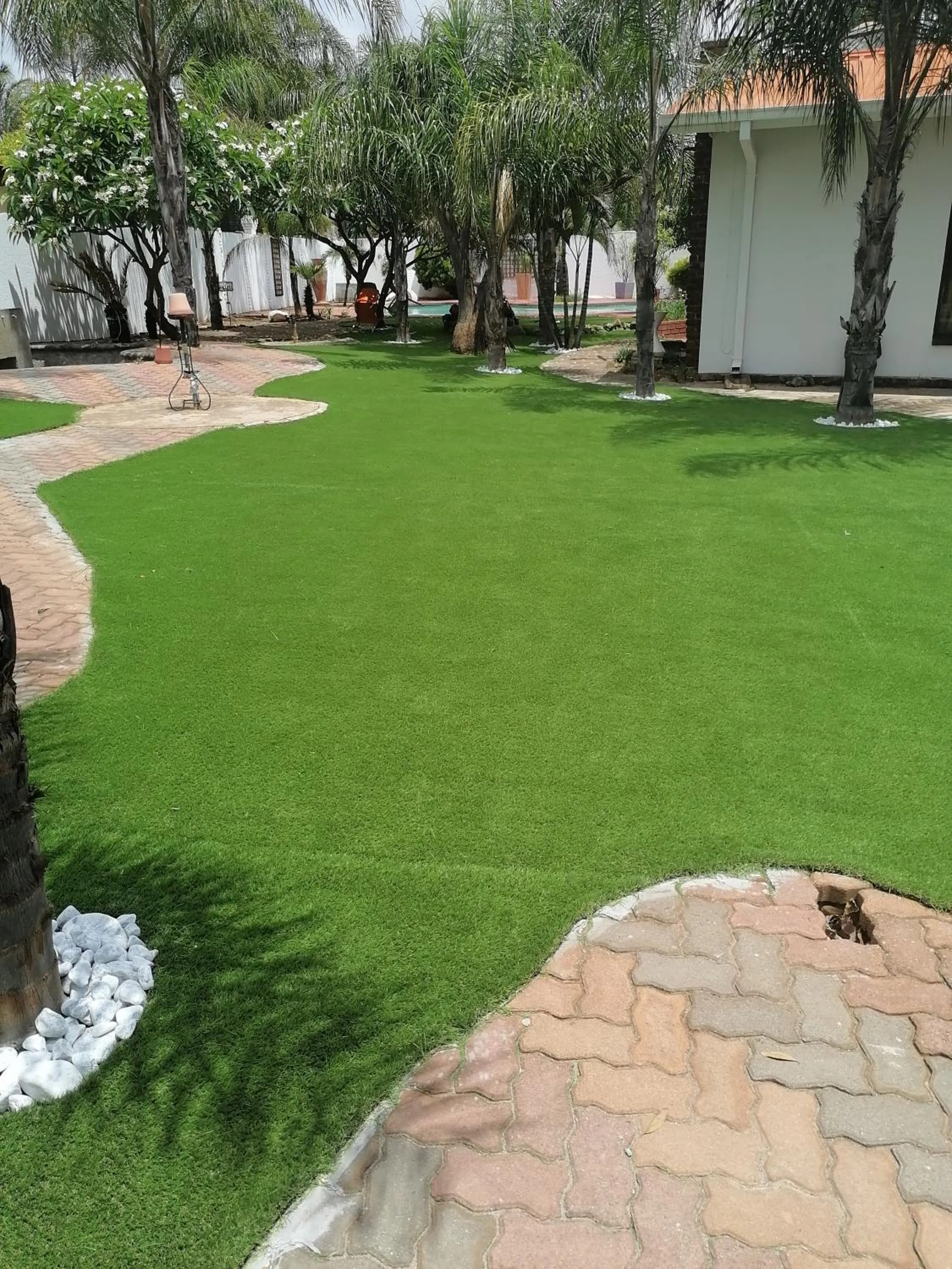 Garden view in The Shamrock Hotel