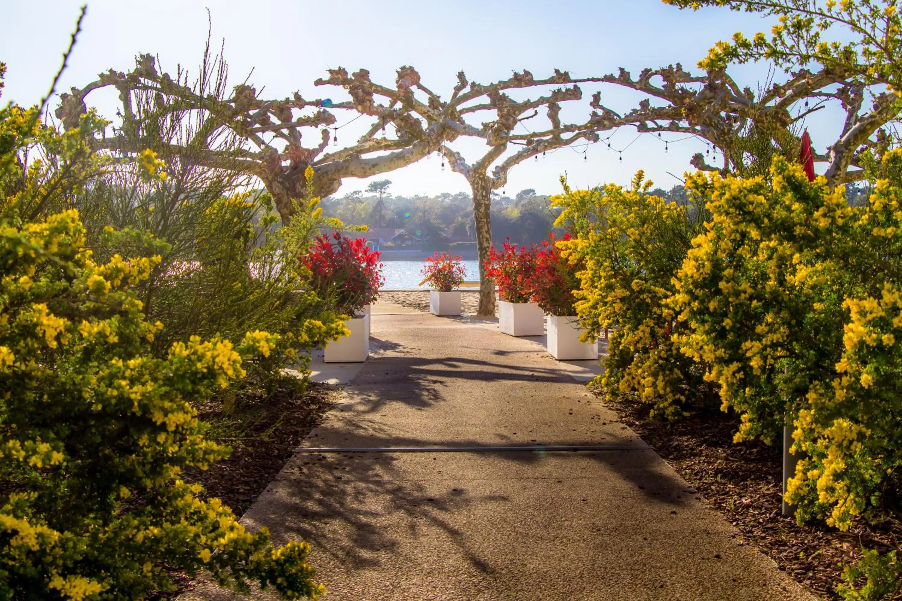 Lake view in Hôtel du Parc & Spa
