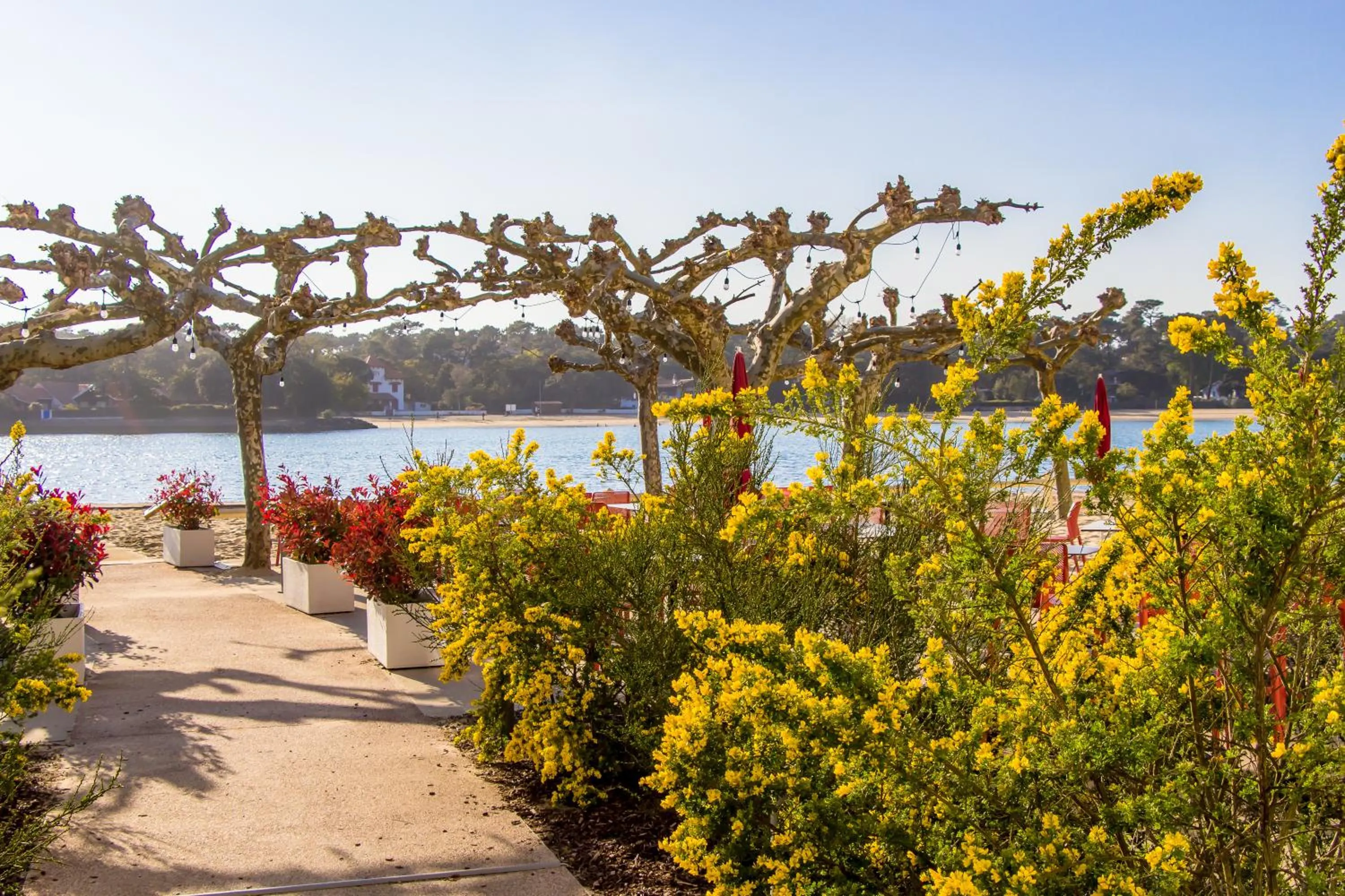 Lake view in Hôtel du Parc & Spa