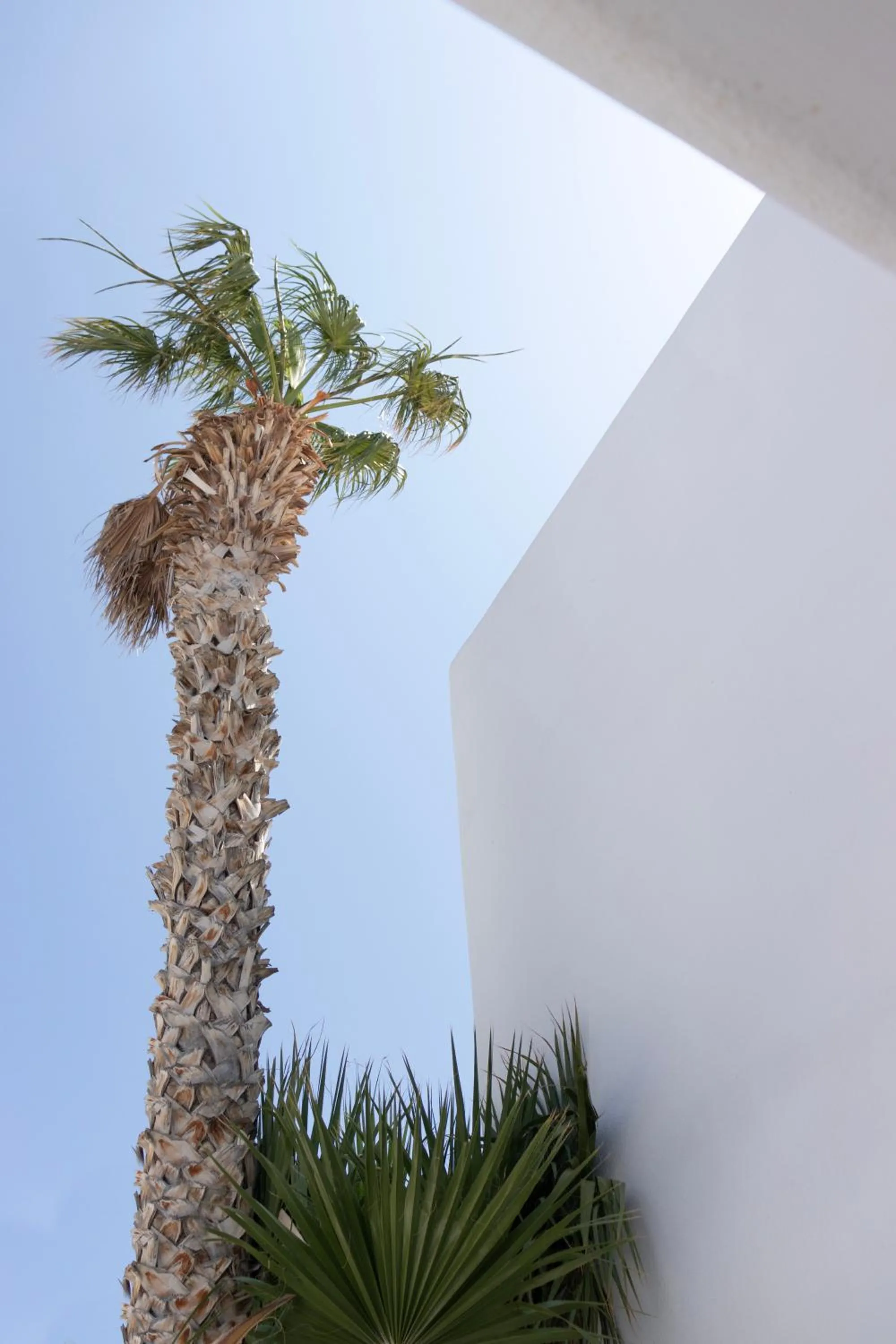 Property building in Cavo Bianco Boutique Hotel & Spa