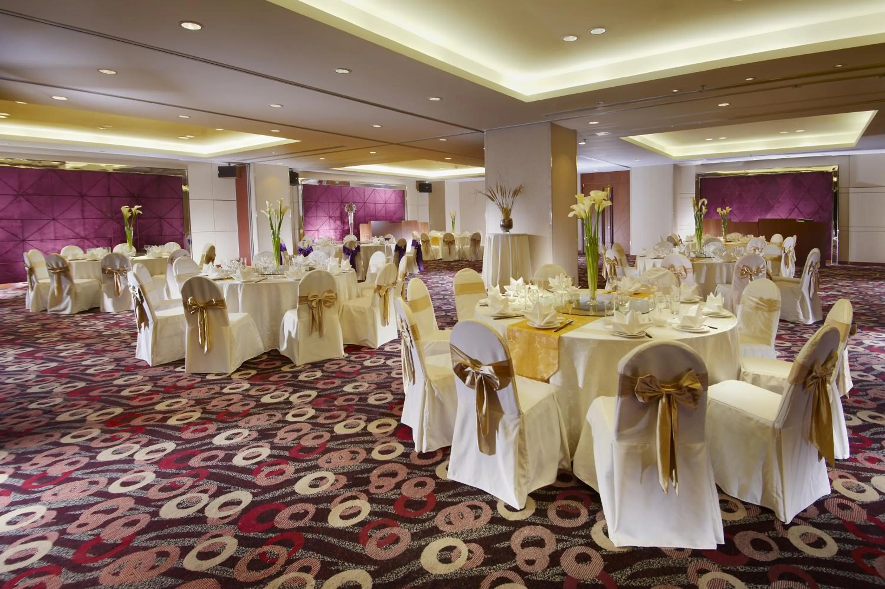 Banquet/Function facilities in Grand Park Wuxi
