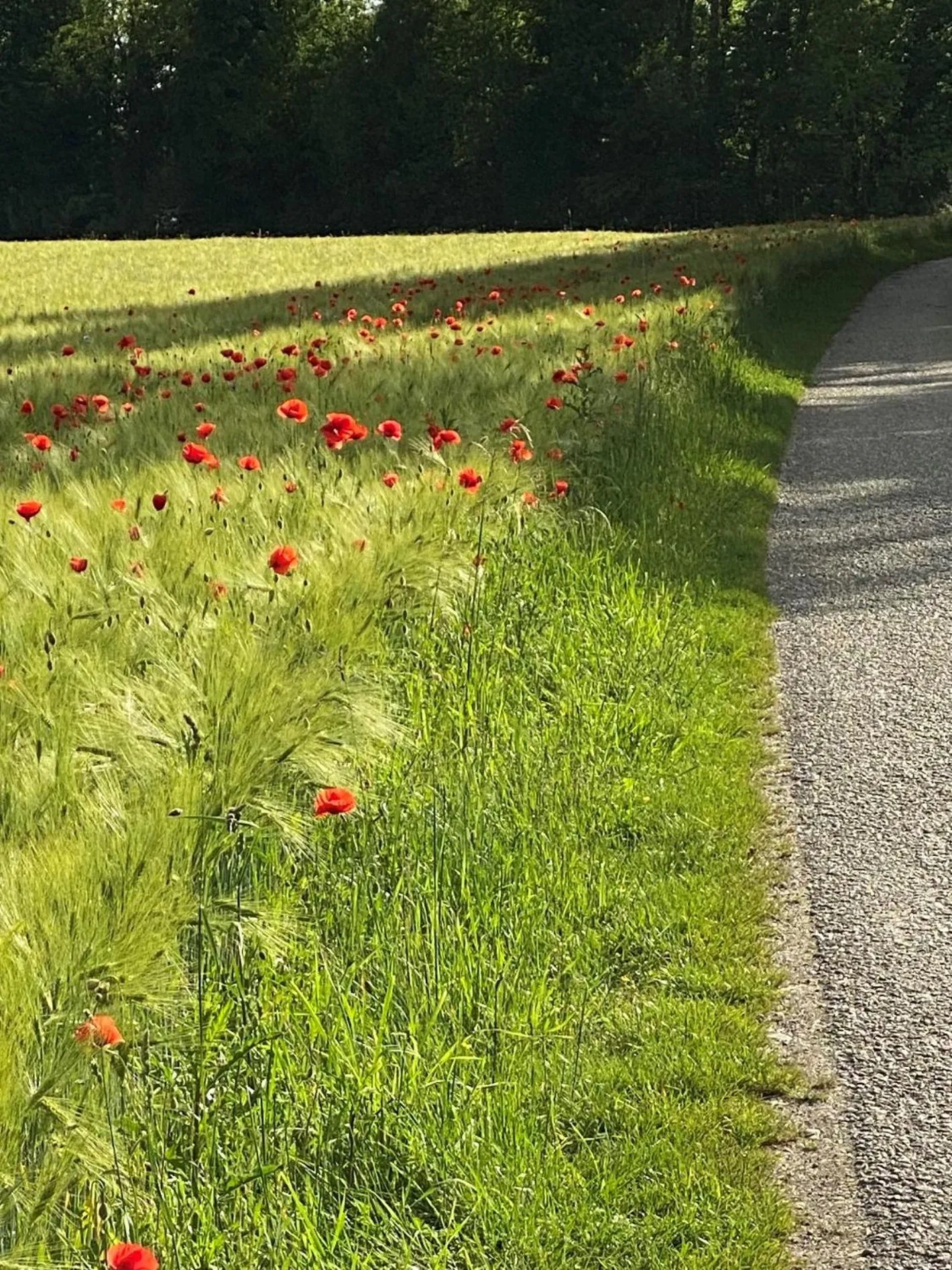 Cycling in HOTEL ZILLNERs EINKEHR ***