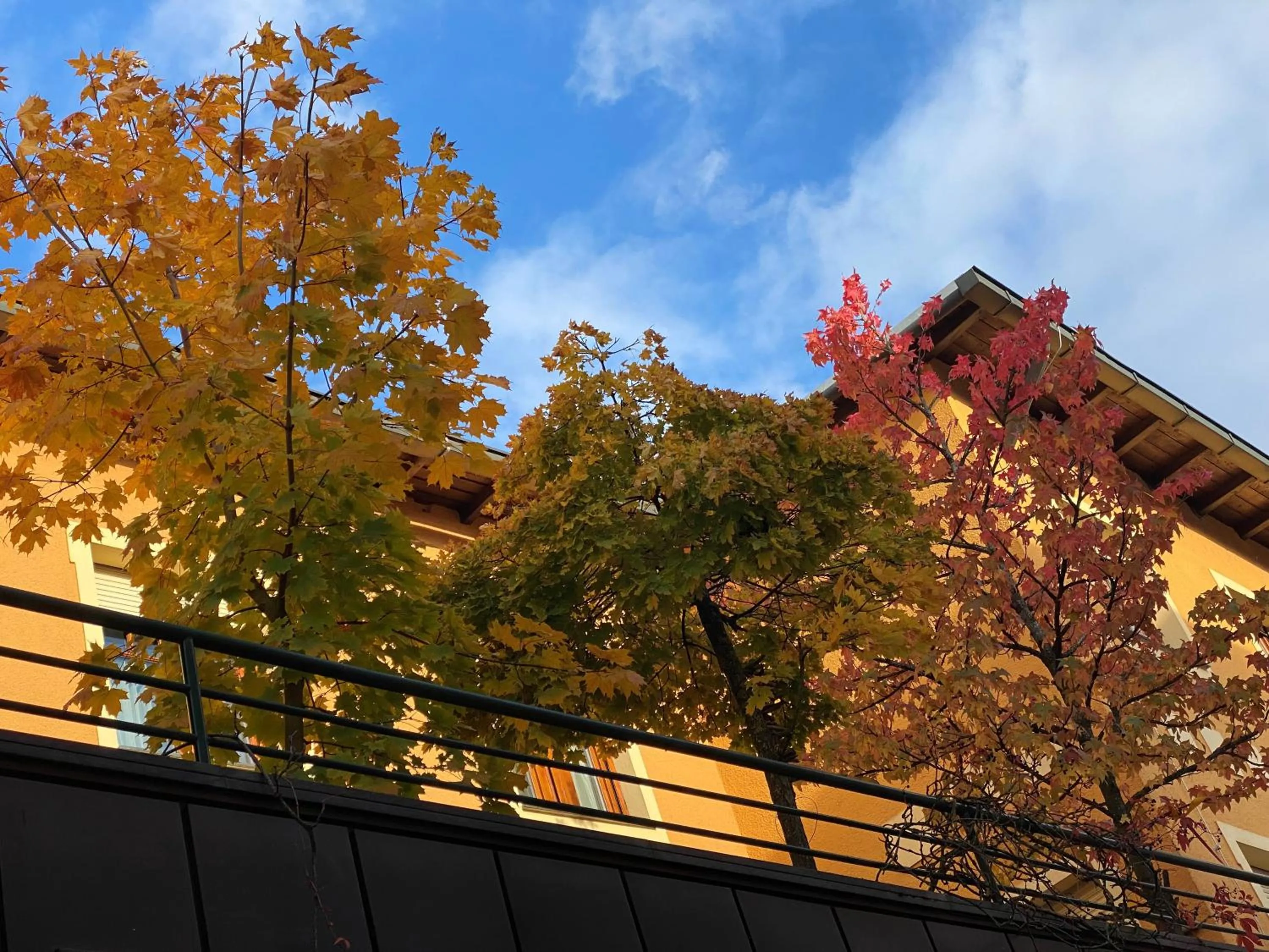 Balcony/Terrace in HOTEL ZILLNERs EINKEHR ***