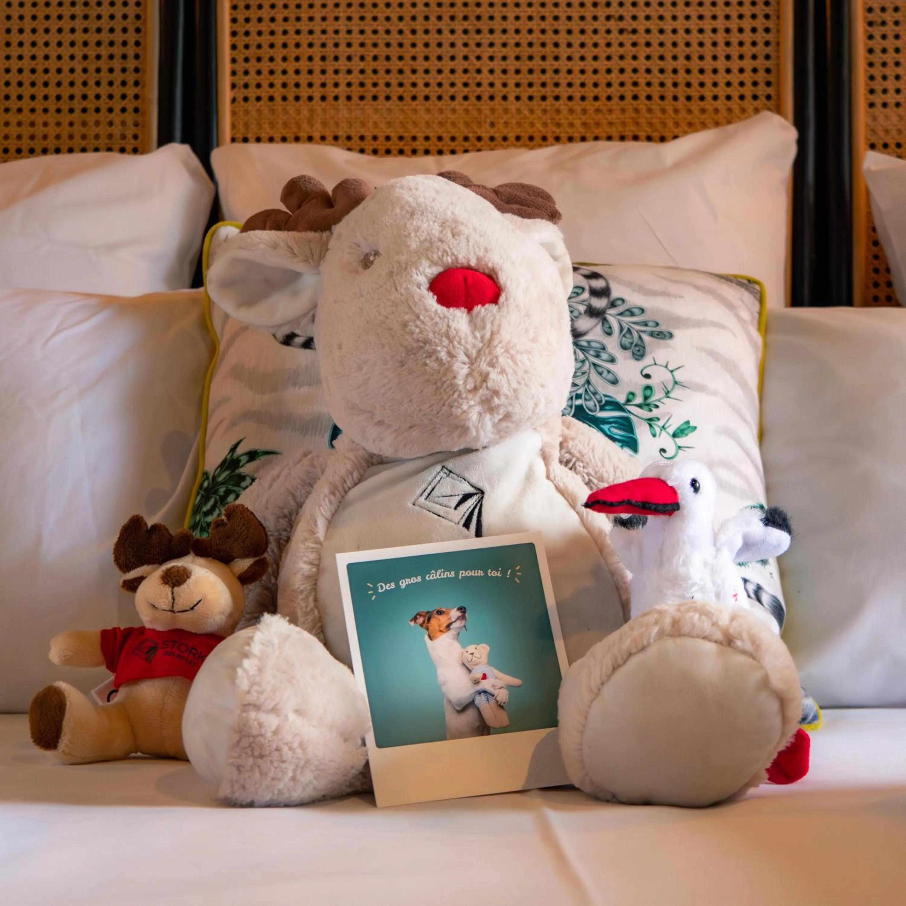 Bed in Hôtel Restaurant Vaillant Colmar Nord