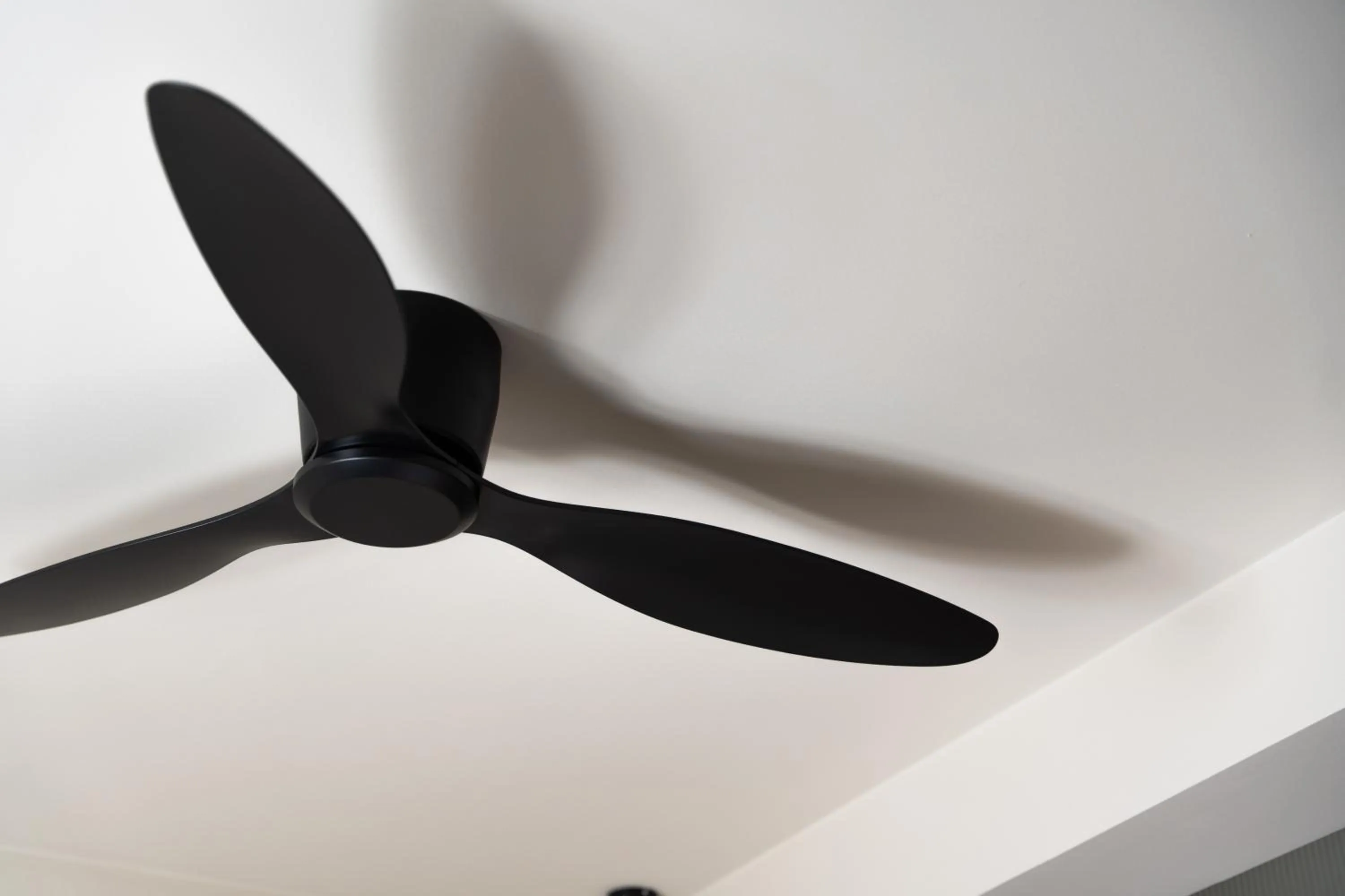 Decorative detail in Astoria Hotel