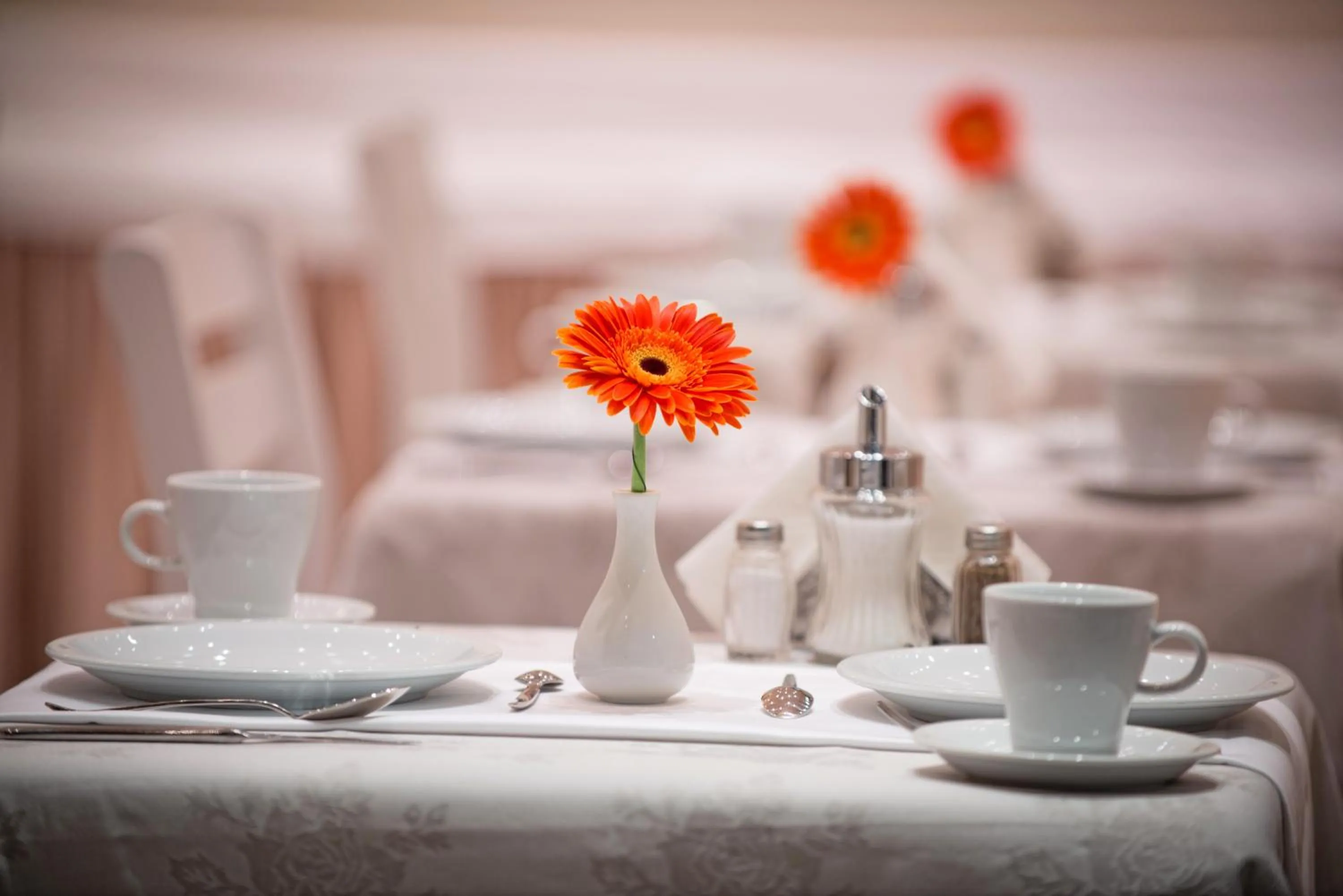 Restaurant/places to eat in Astoria Hotel