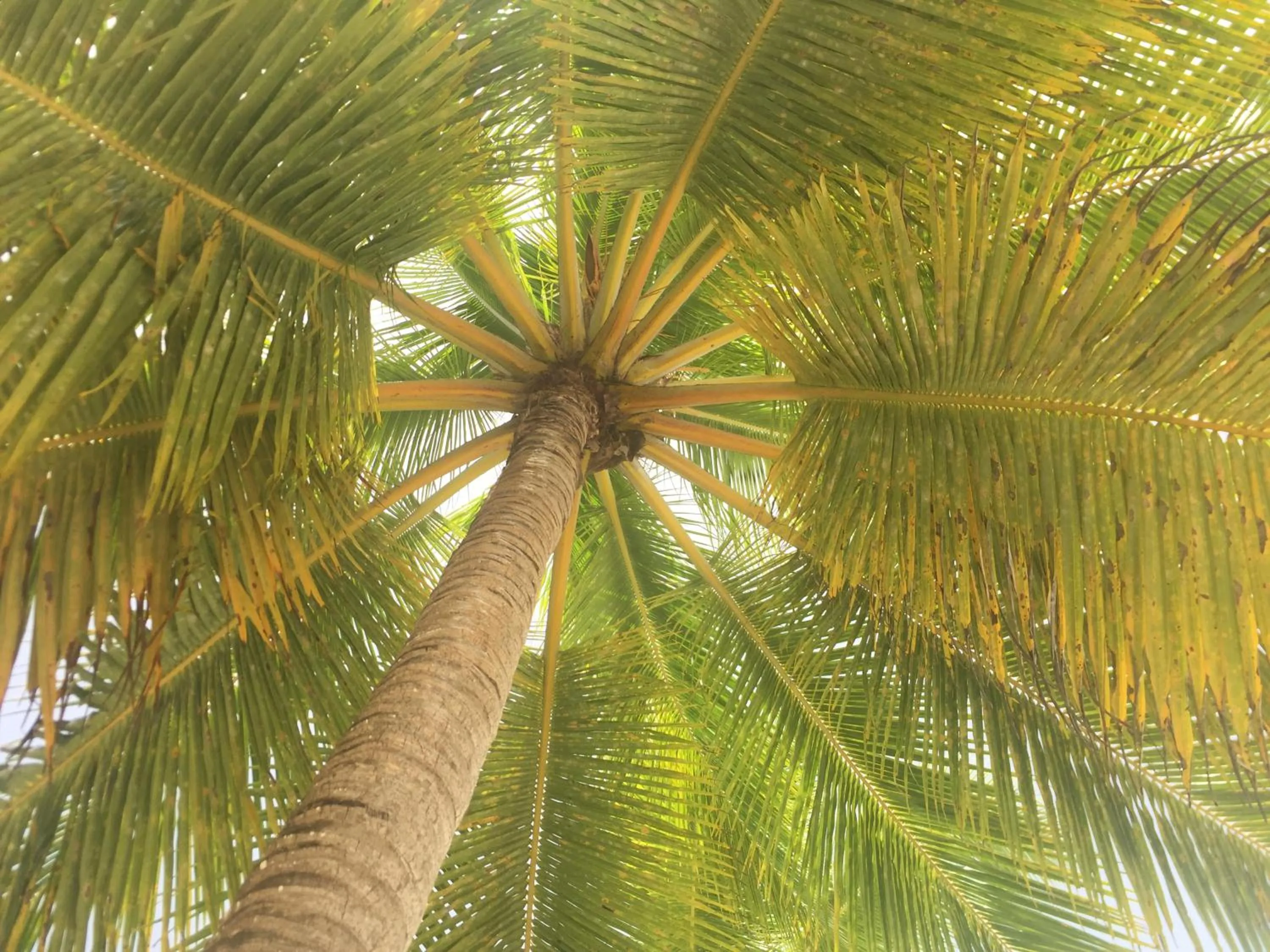 Natural landscape in B&B Villa Luna