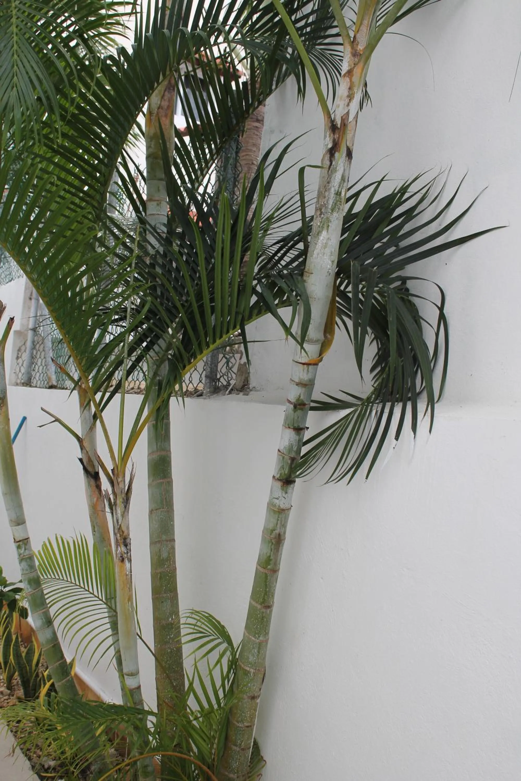 Patio in B&B Villa Luna