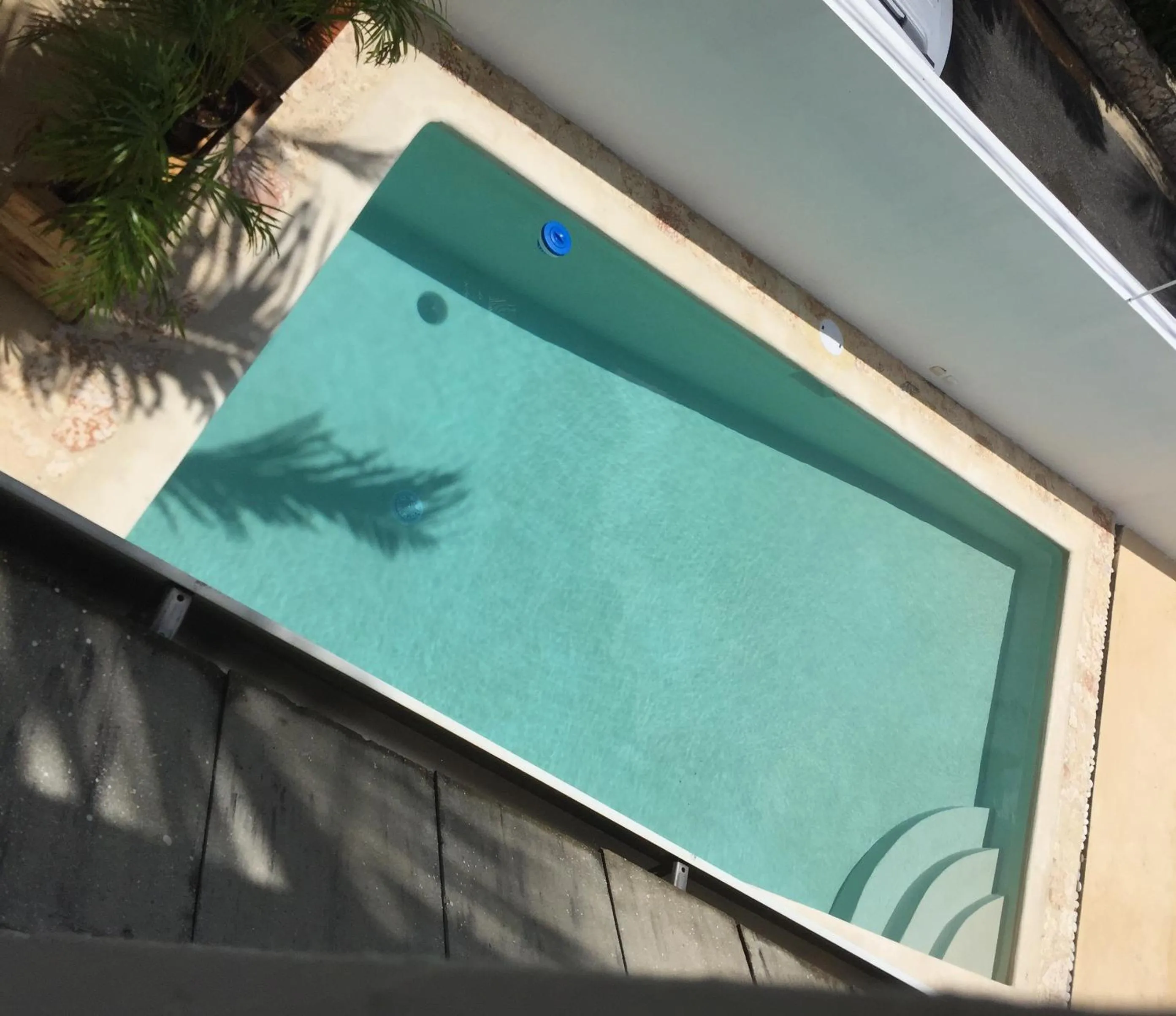 Pool view in B&B Villa Luna