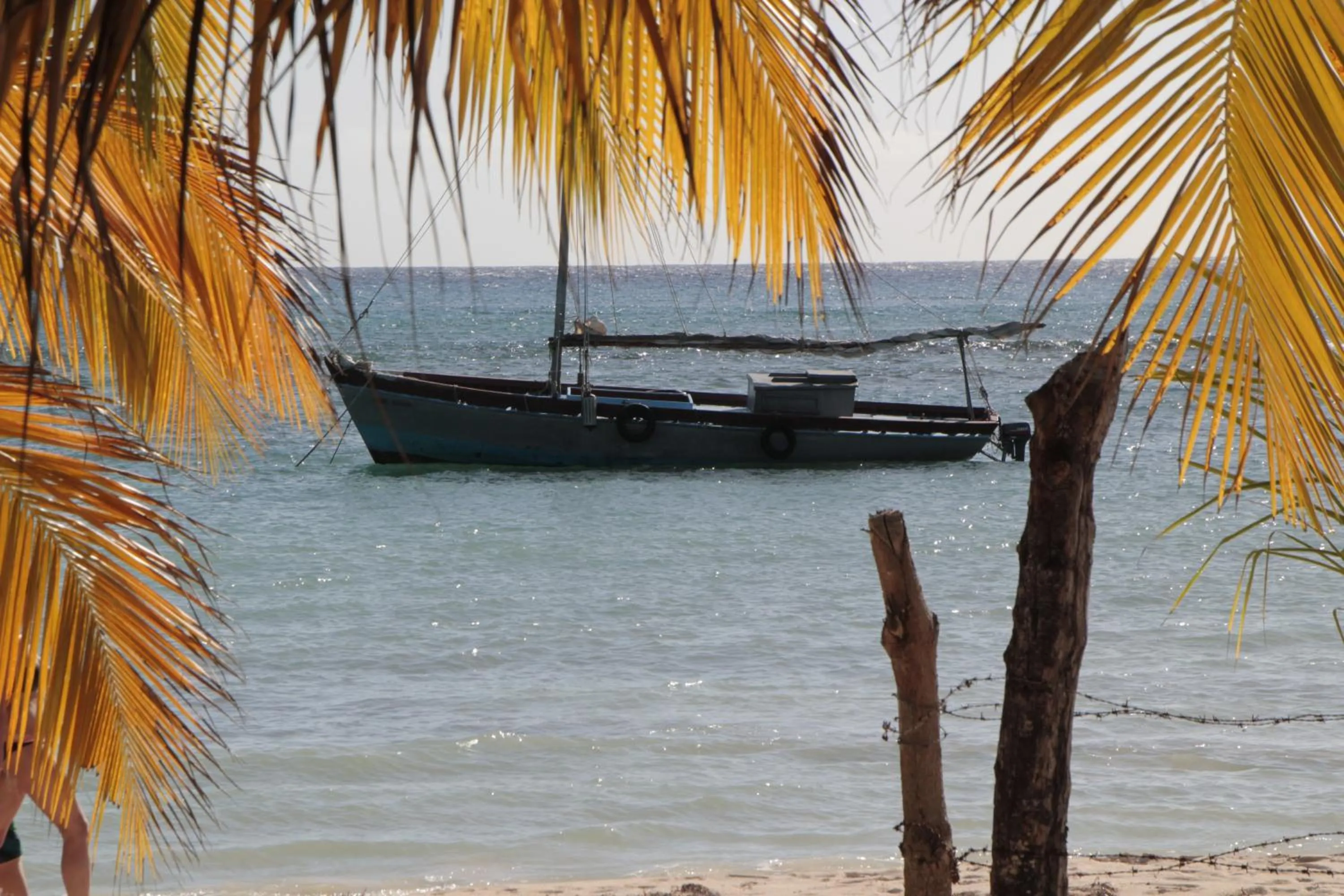 Natural landscape in B&B Villa Luna