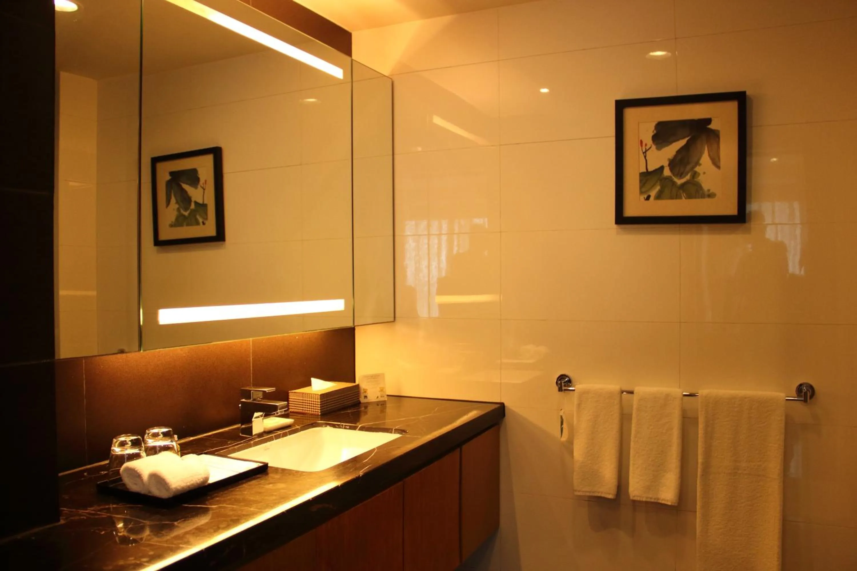Bathroom in Somerset Riverview Chengdu-Near Tianfu Square