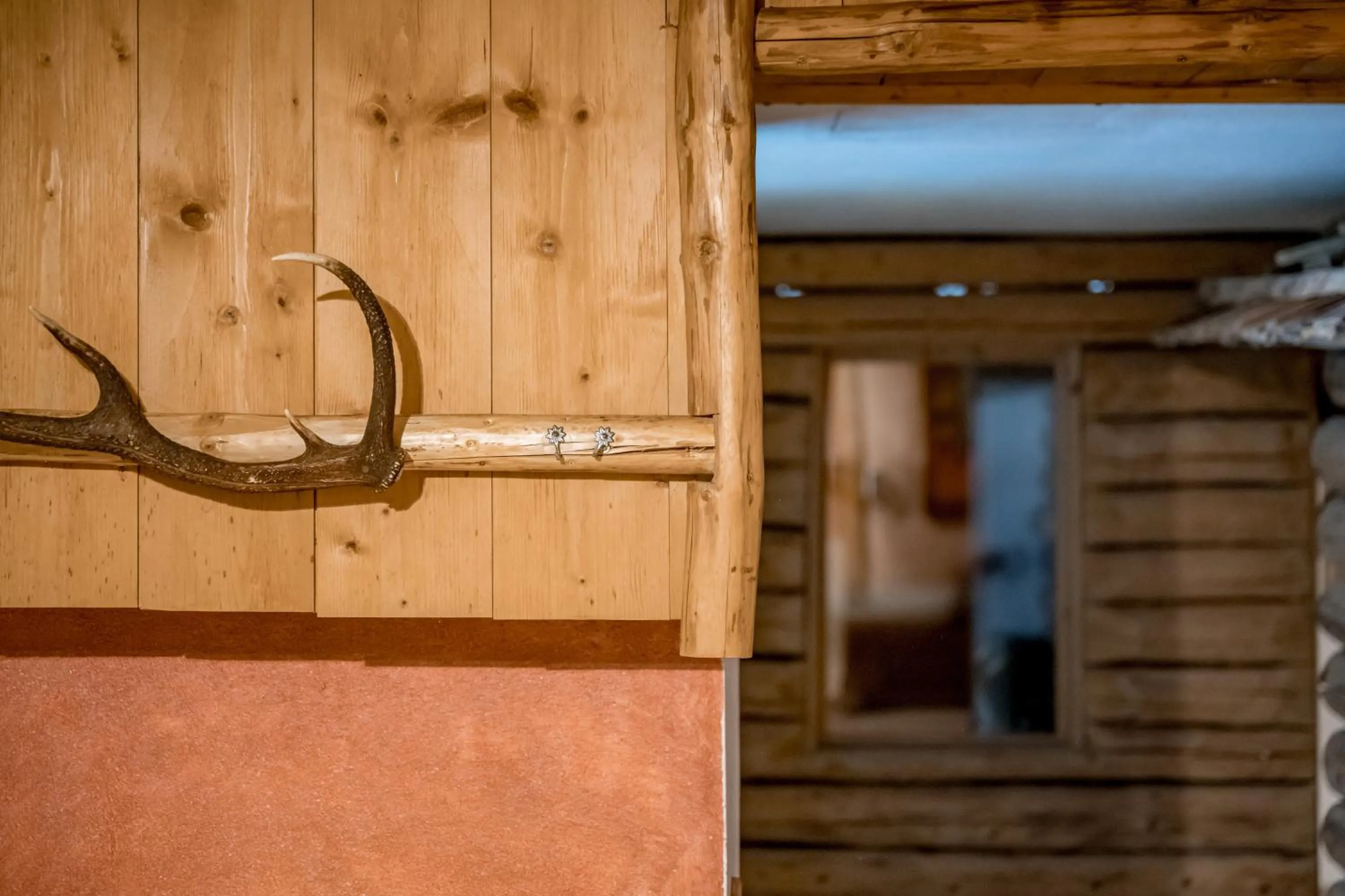 Decorative detail in Der Grubacher