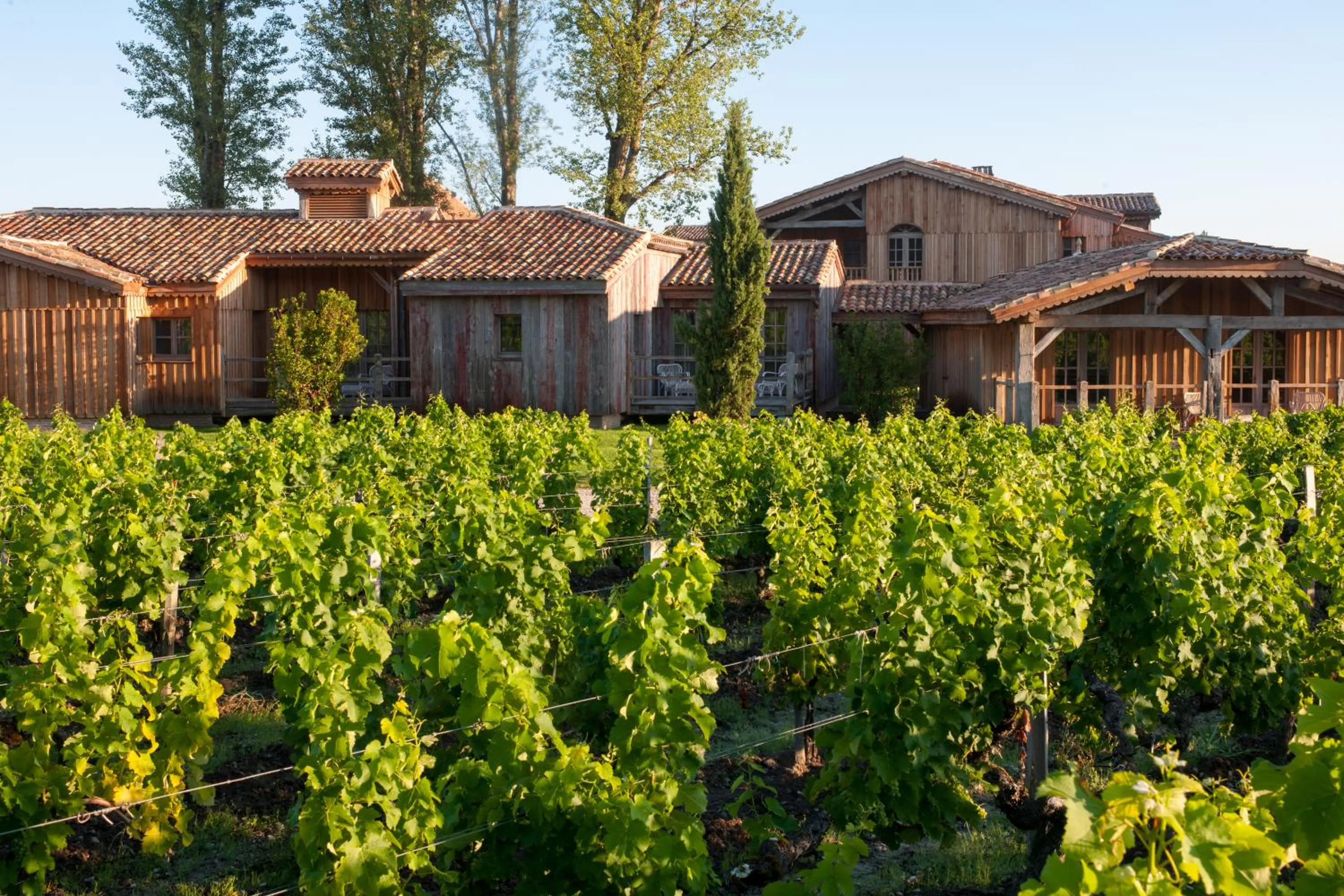 Natural landscape in Les Sources de Caudalie