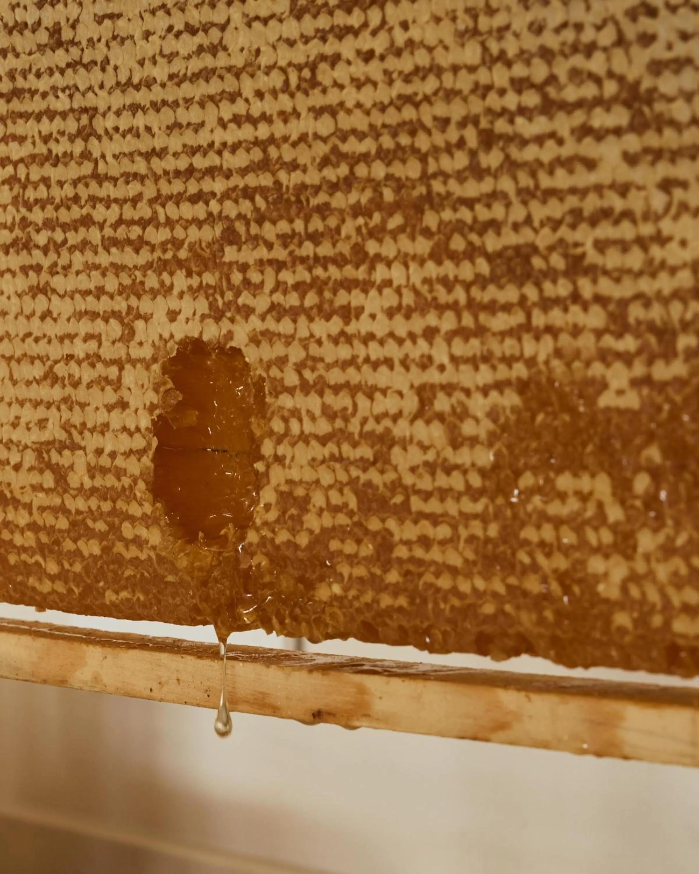 Spa and wellness centre/facilities in Uzenie All Suites Boutique Resort