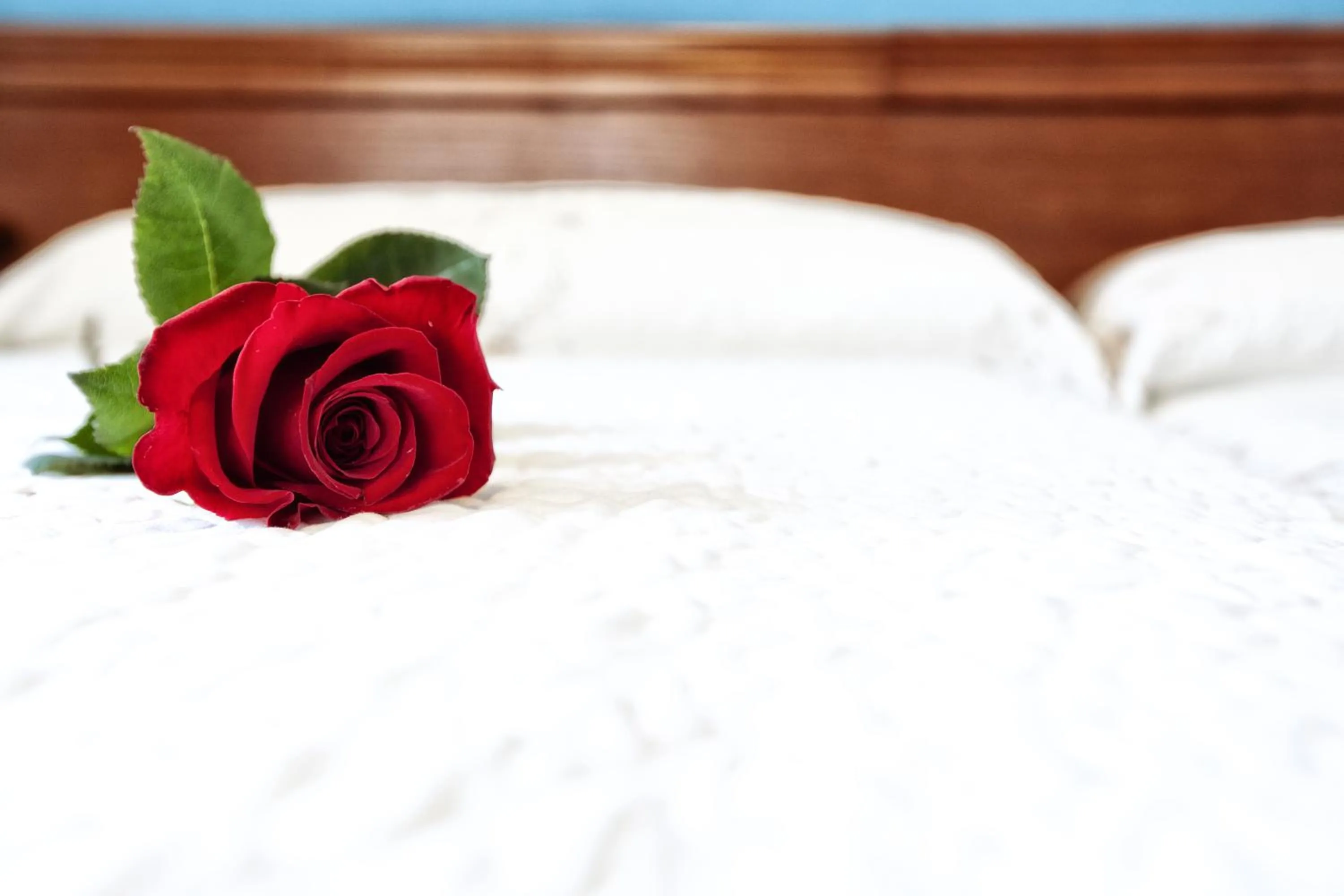 Decorative detail in Hotel Eladia