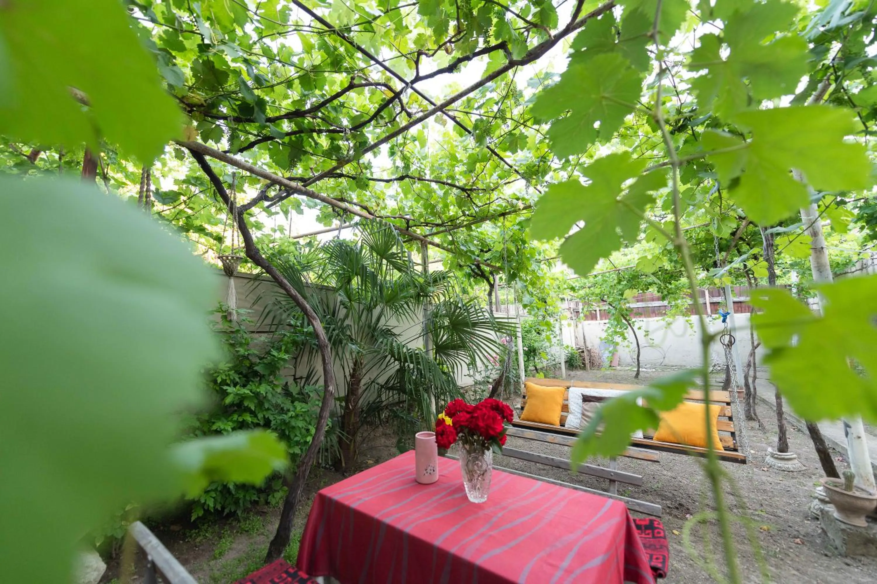 Garden in Anna's Guest House