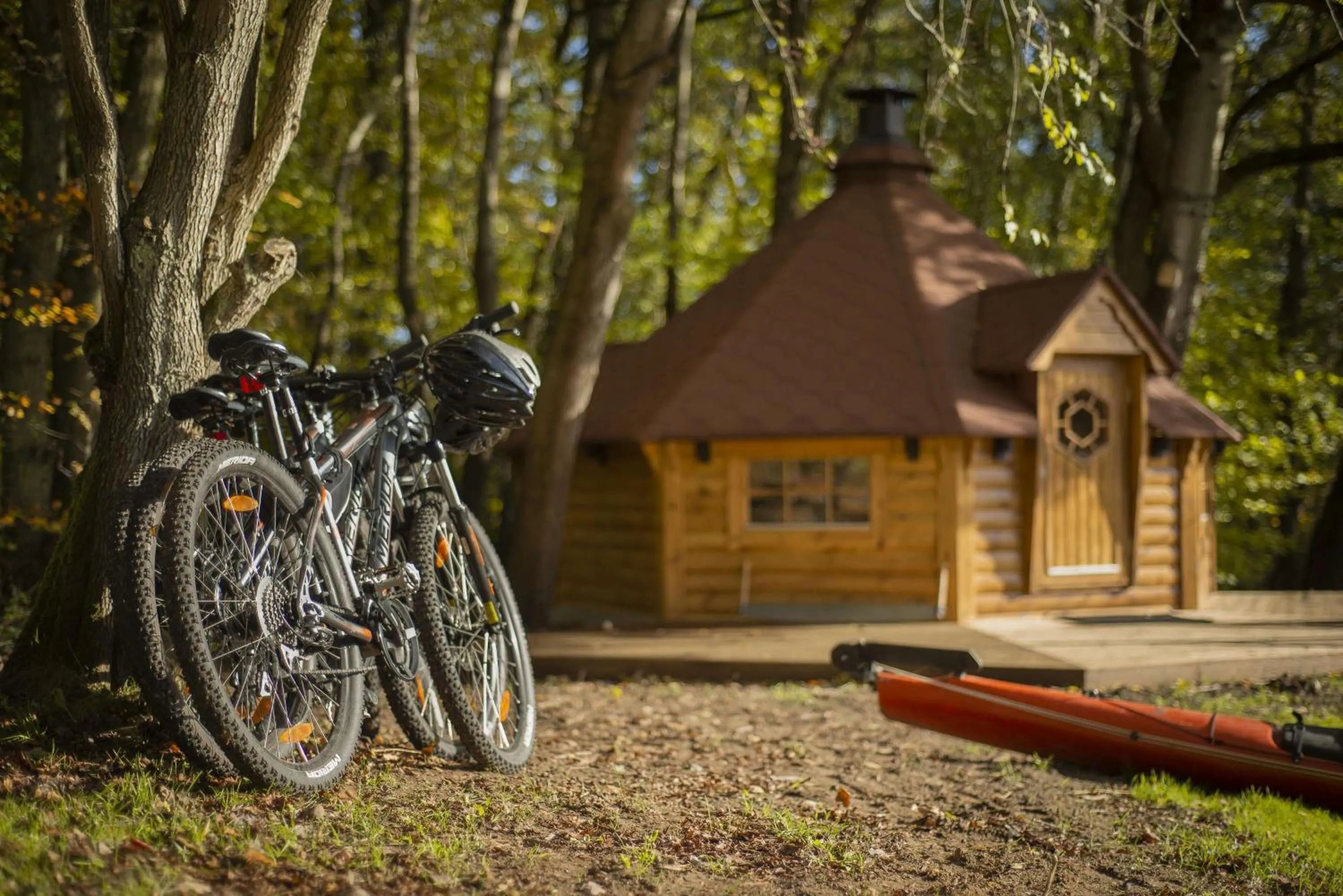 Nearby landmark in Scandic Silkeborg