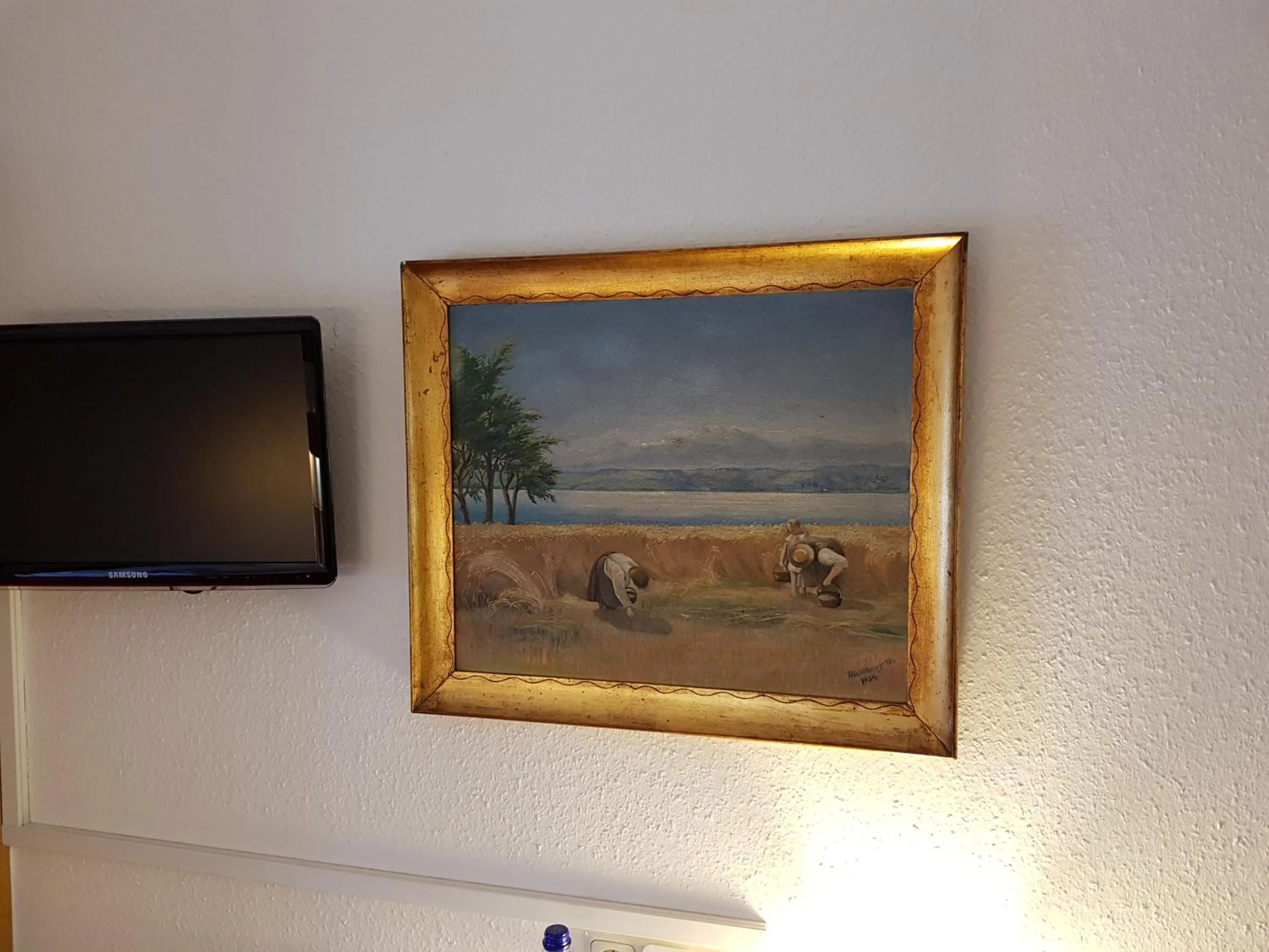 TV and multimedia, TV/Entertainment Center in Hotel Jägerhof garni