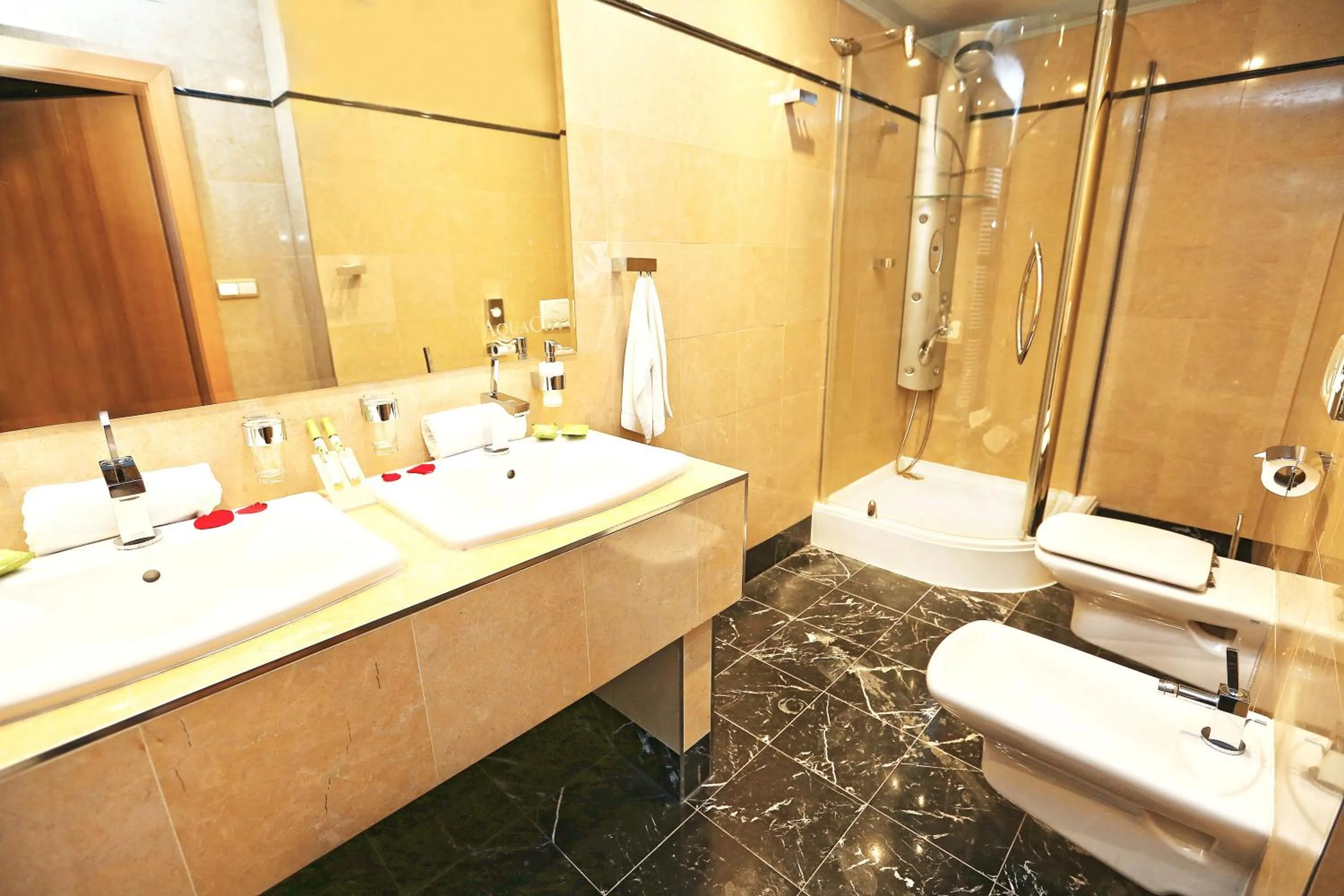 Bathroom in Hotel AquaCity Seasons
