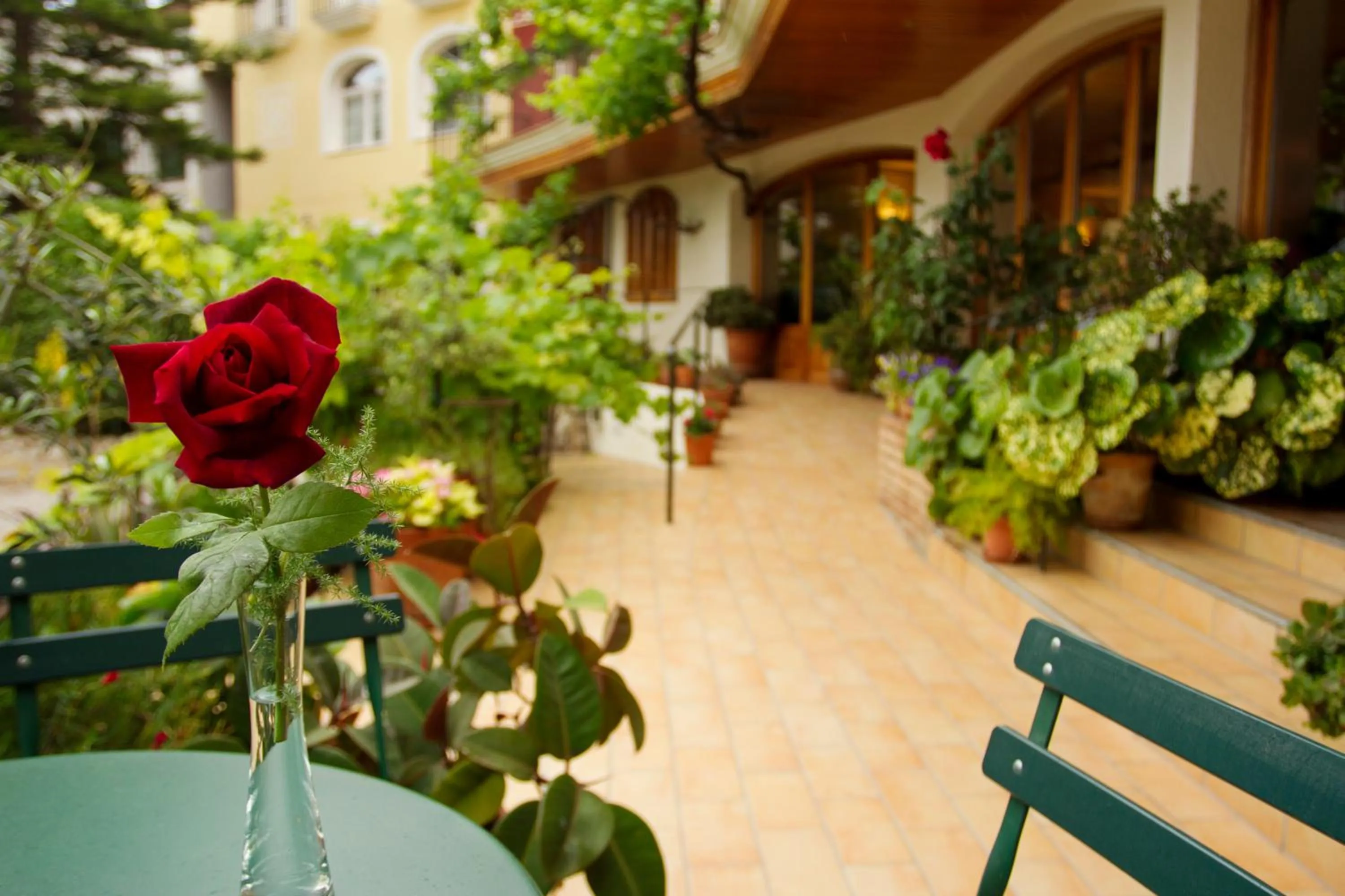 Balcony/Terrace in Hotel Antiga