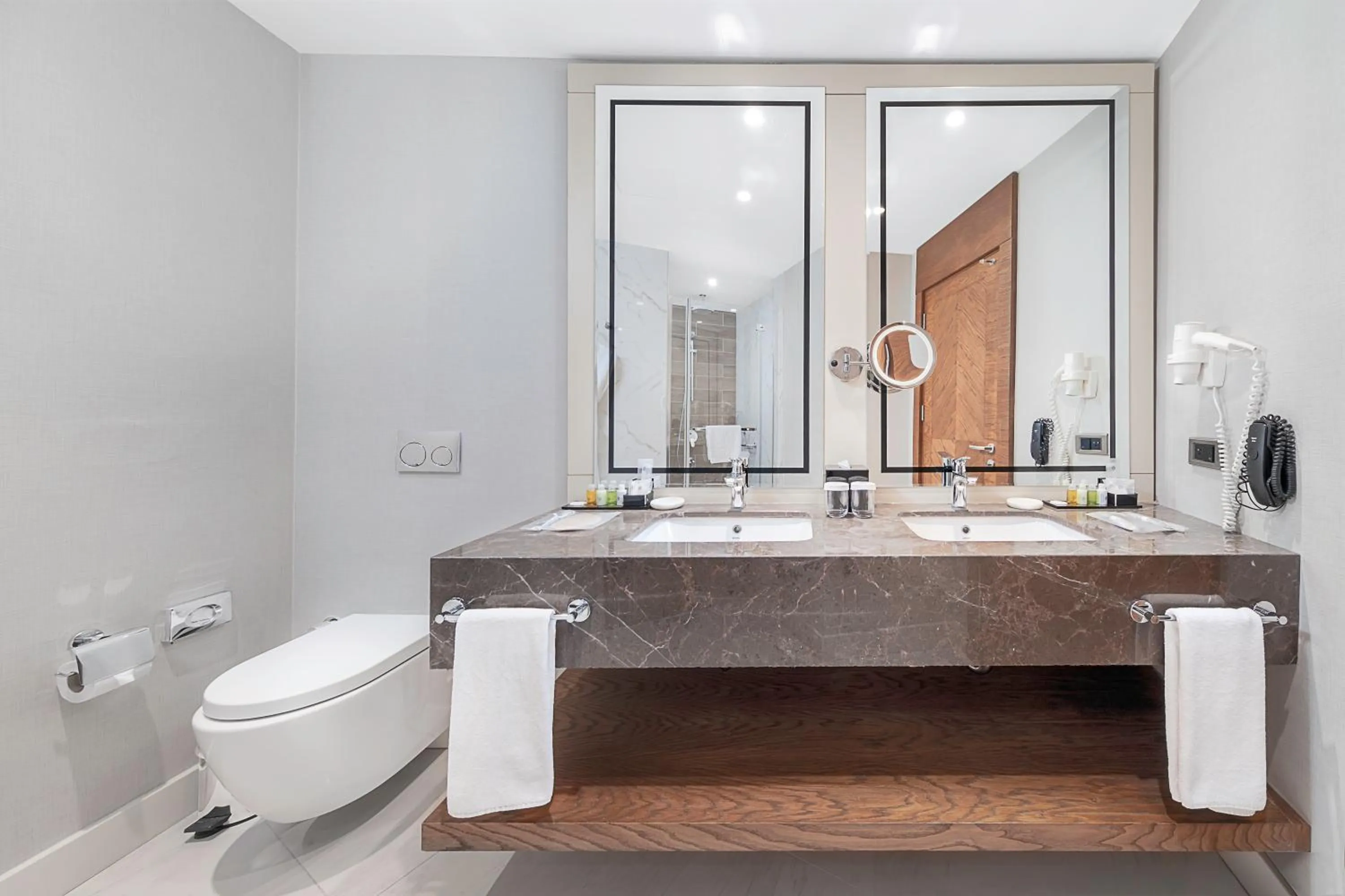 Toilet in Dedeman Tokat