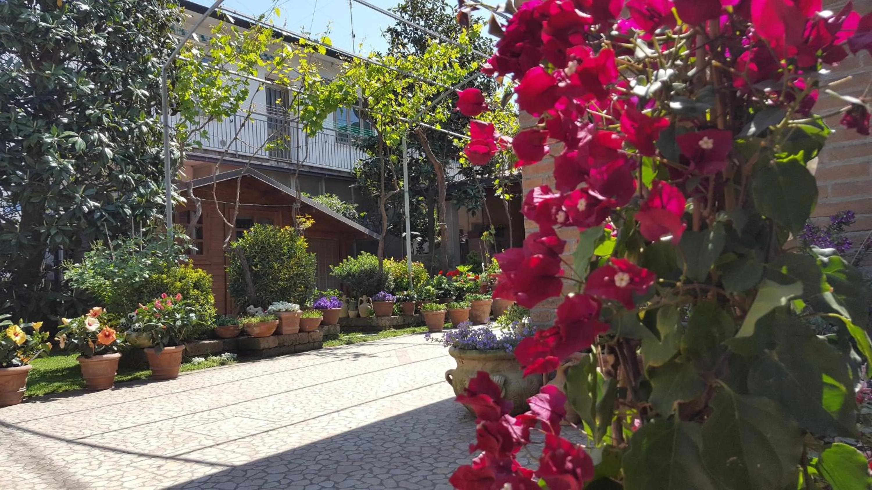 On site in B&B ENSILEVA BEACH