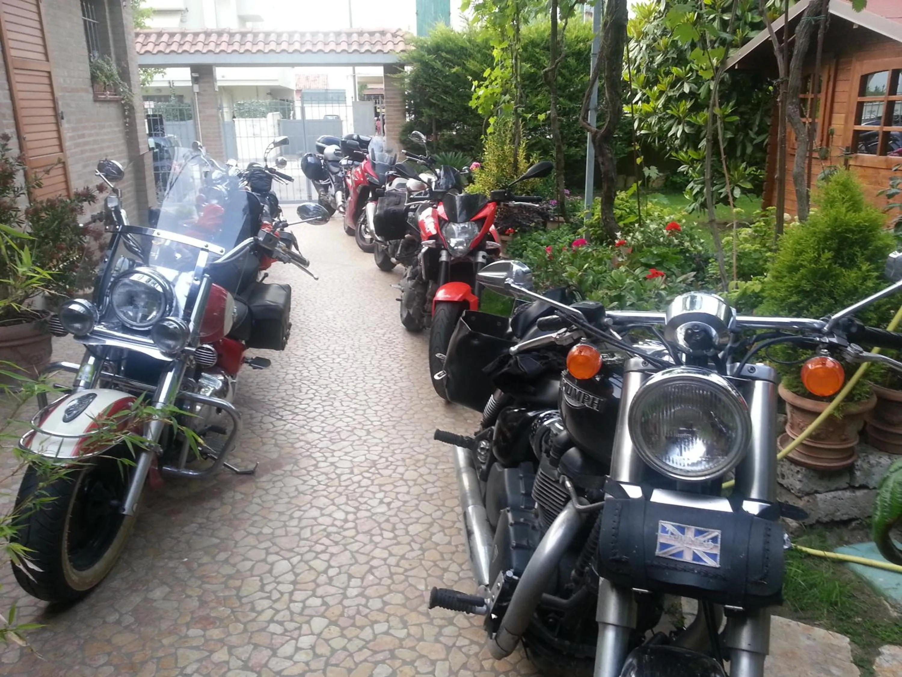 Garden in B&B ENSILEVA BEACH