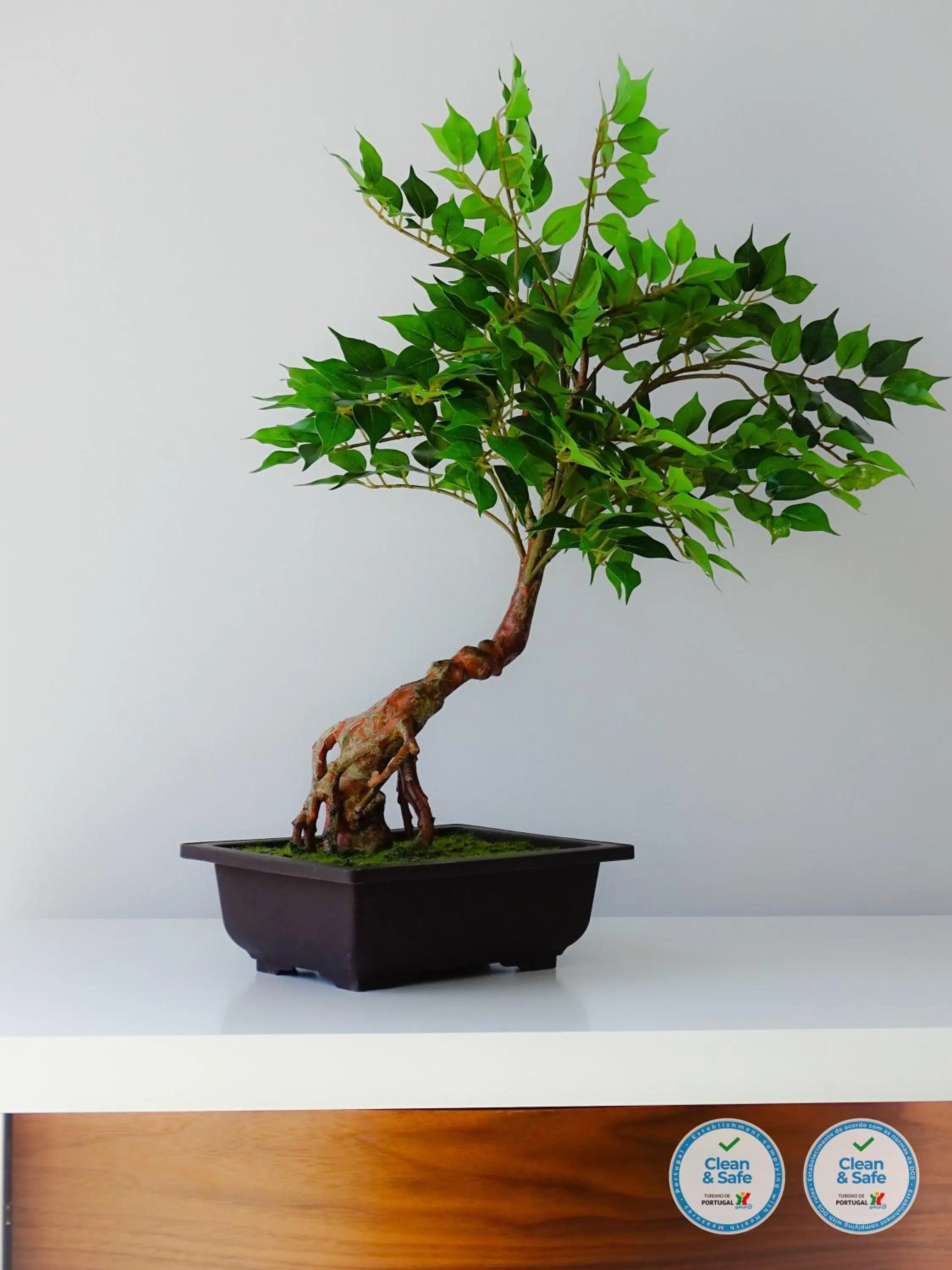 Other in RS Porto Apartments